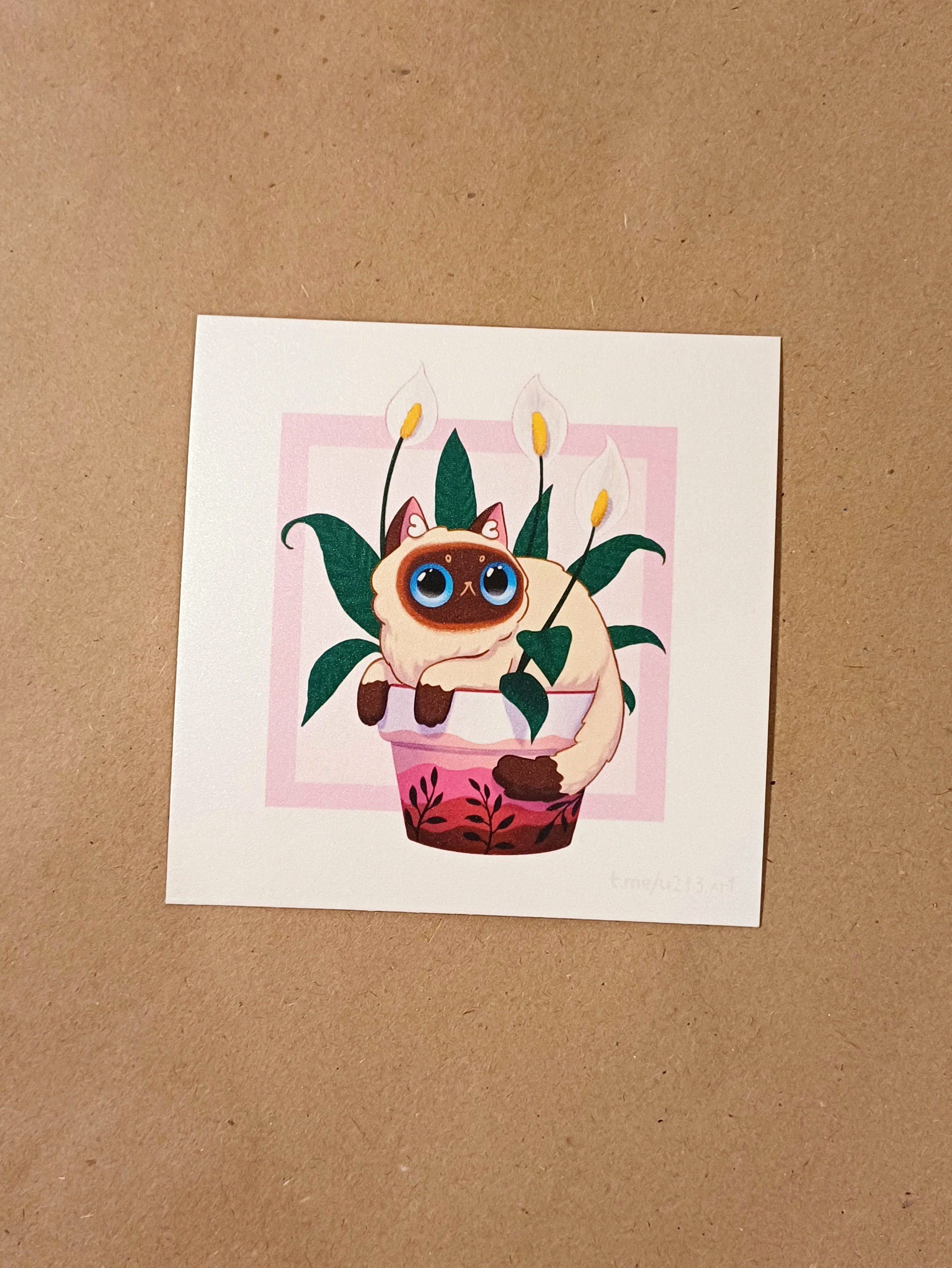 Принт "котик сиамский"