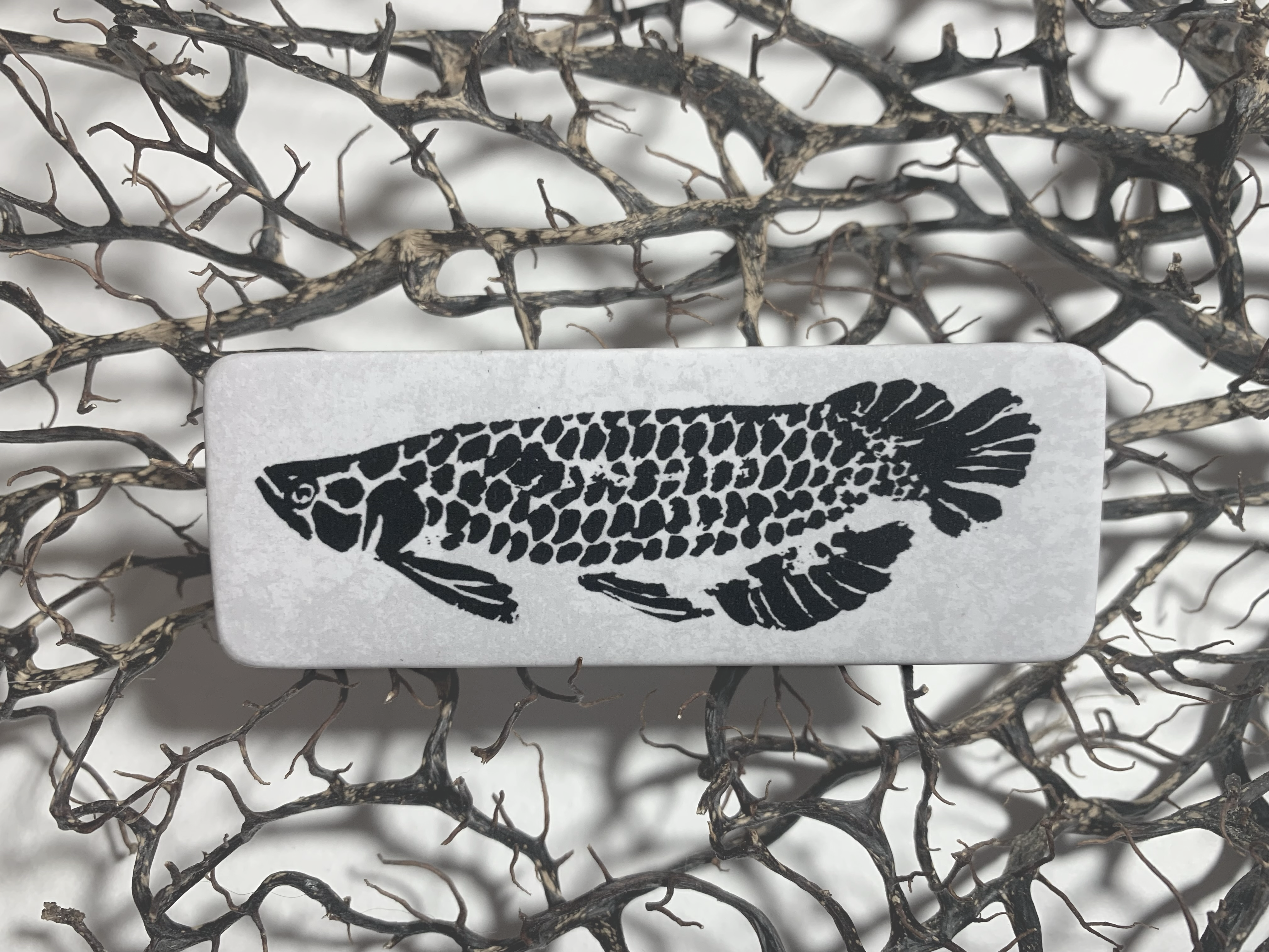 Бейдж арапайма