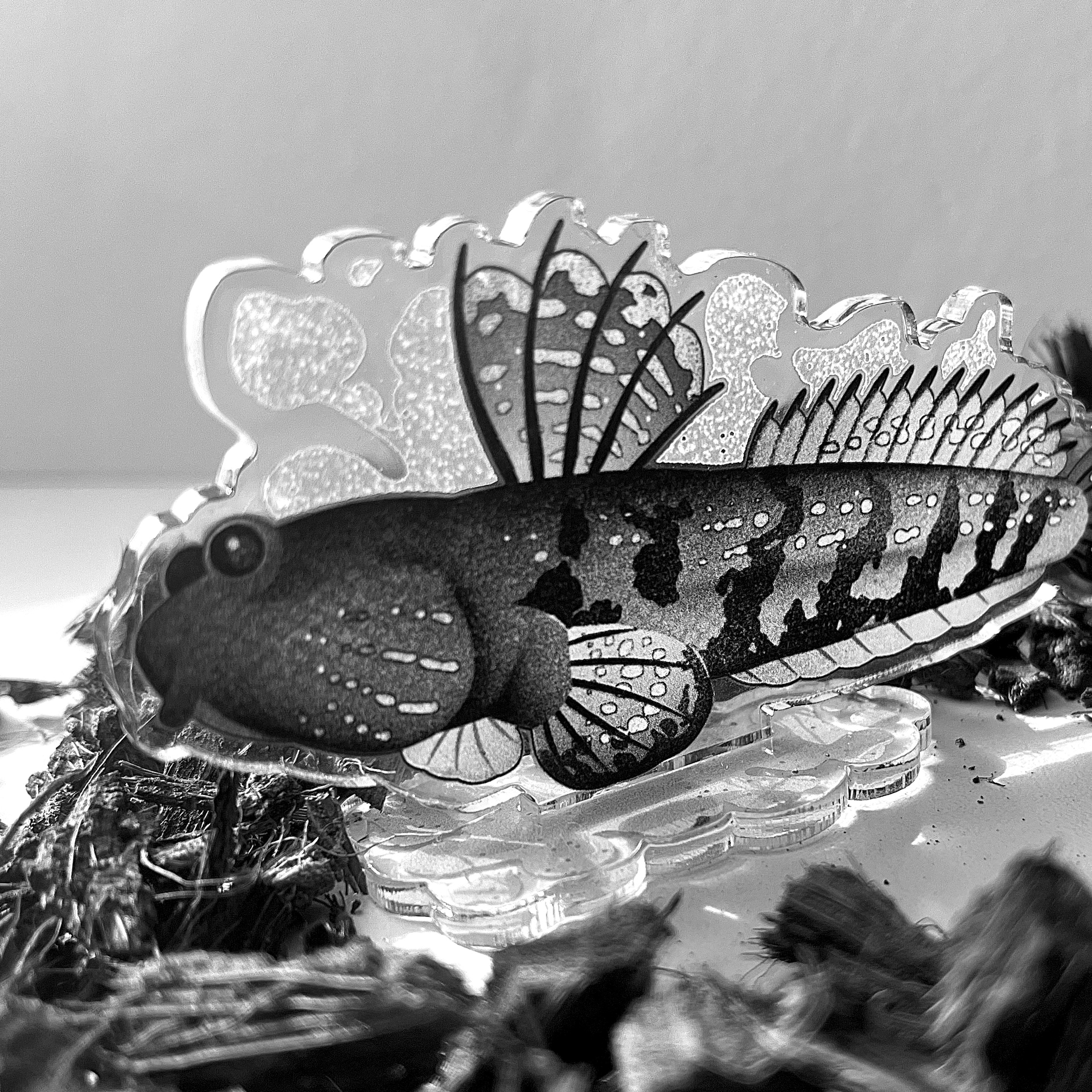 Стенд 10см илистый