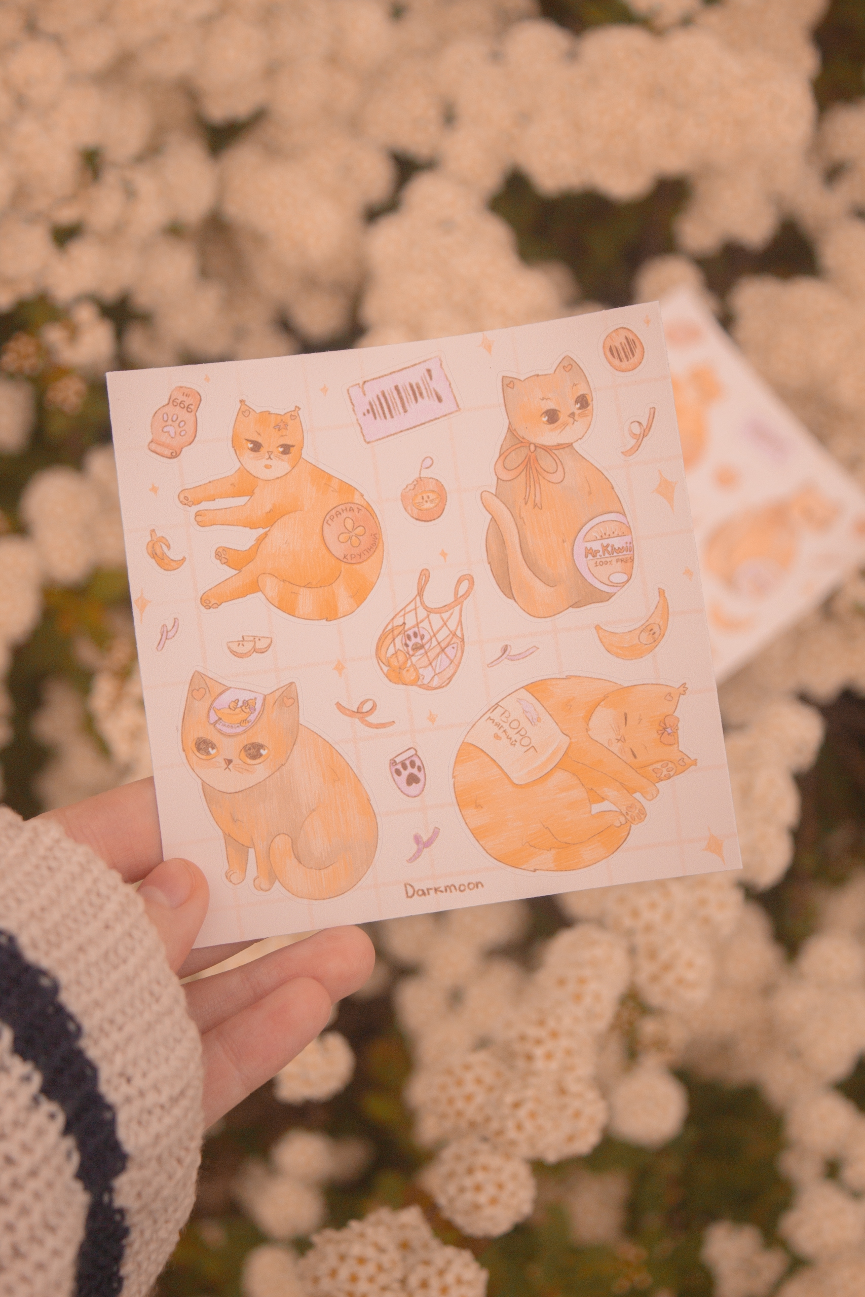 Стикерпак «котикетки»