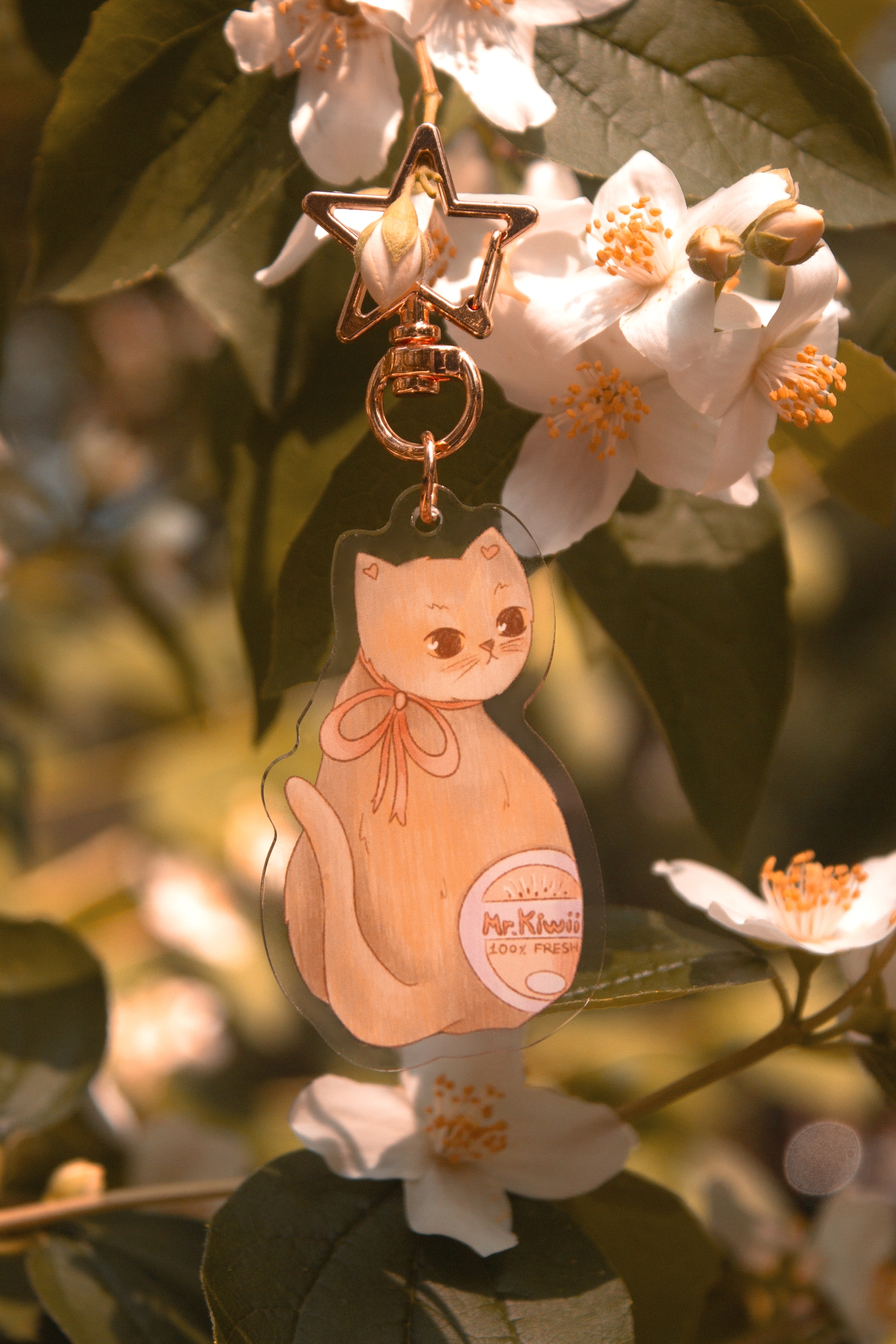 Брелок "мистер киви"