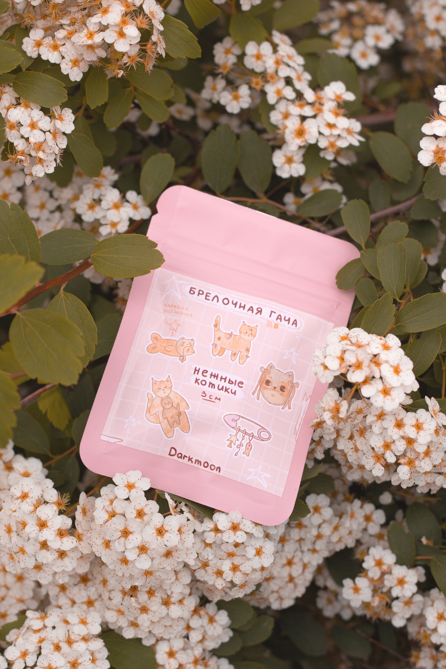 Брелочная гача "Нежные котики"