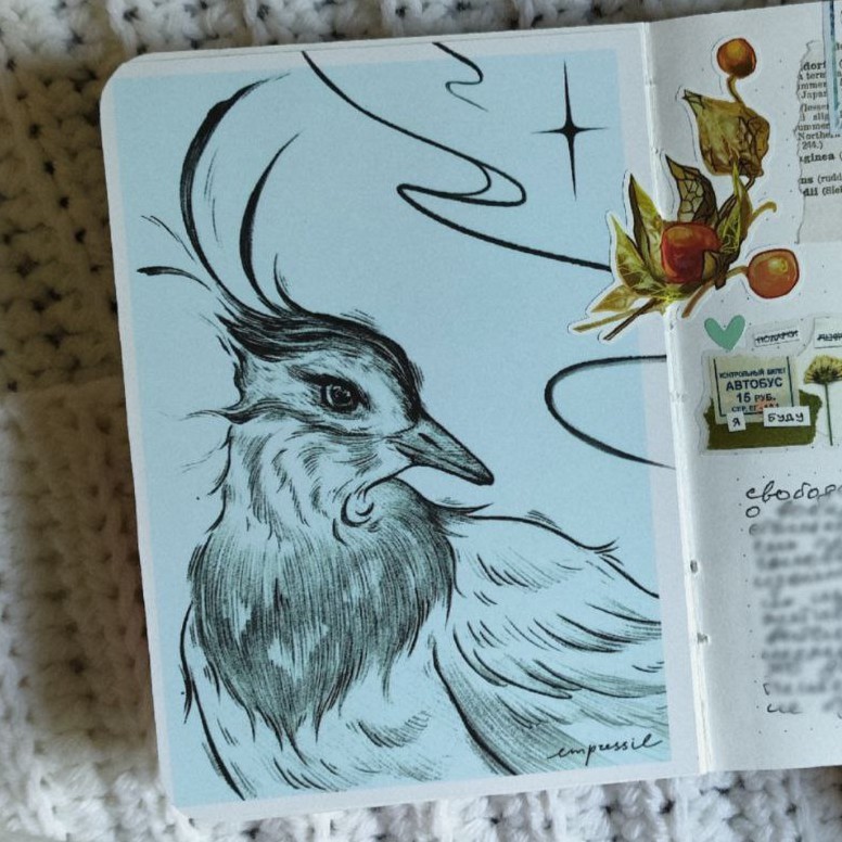 Открытка “Чибис”