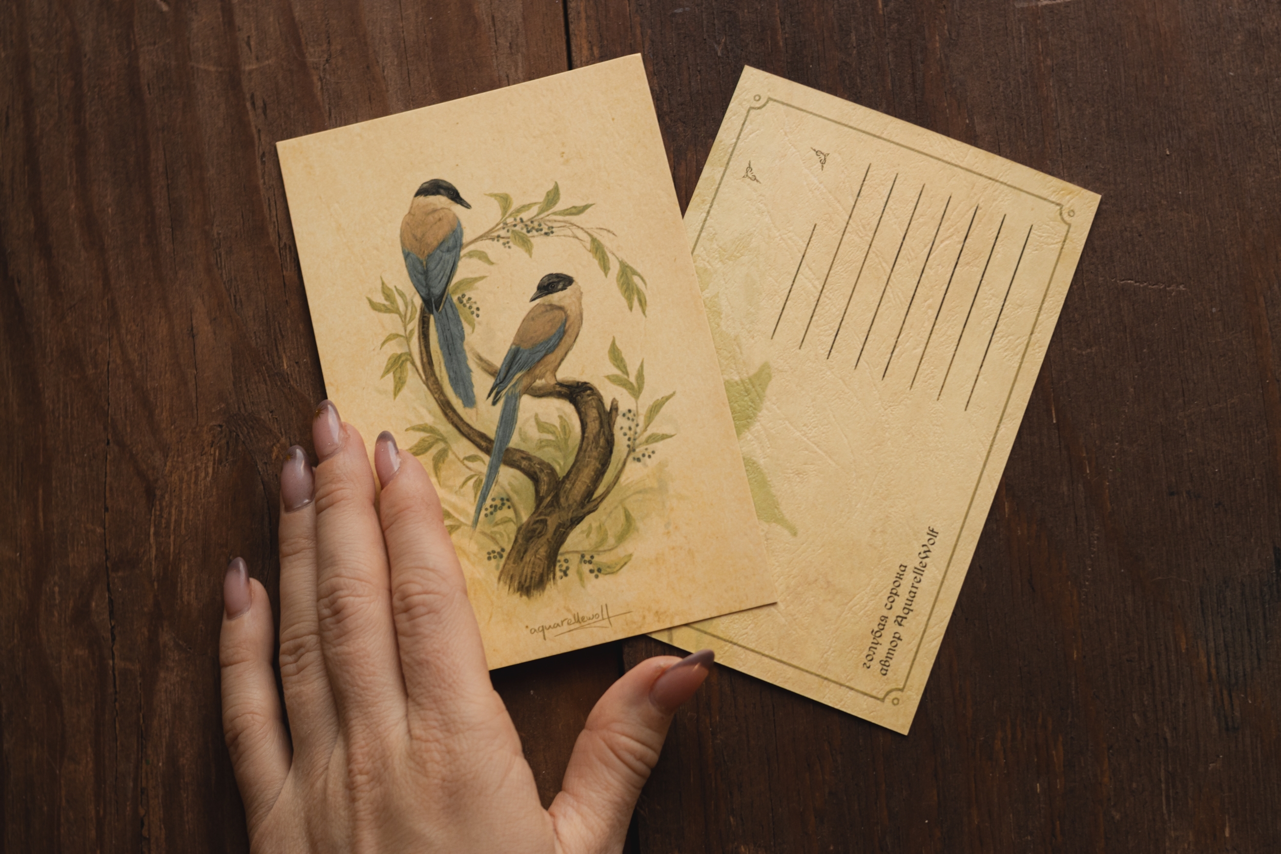 Открытка “Голубая сорока“