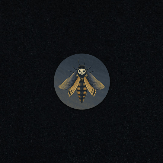 Зн.37 мм “Мёртвая голова”