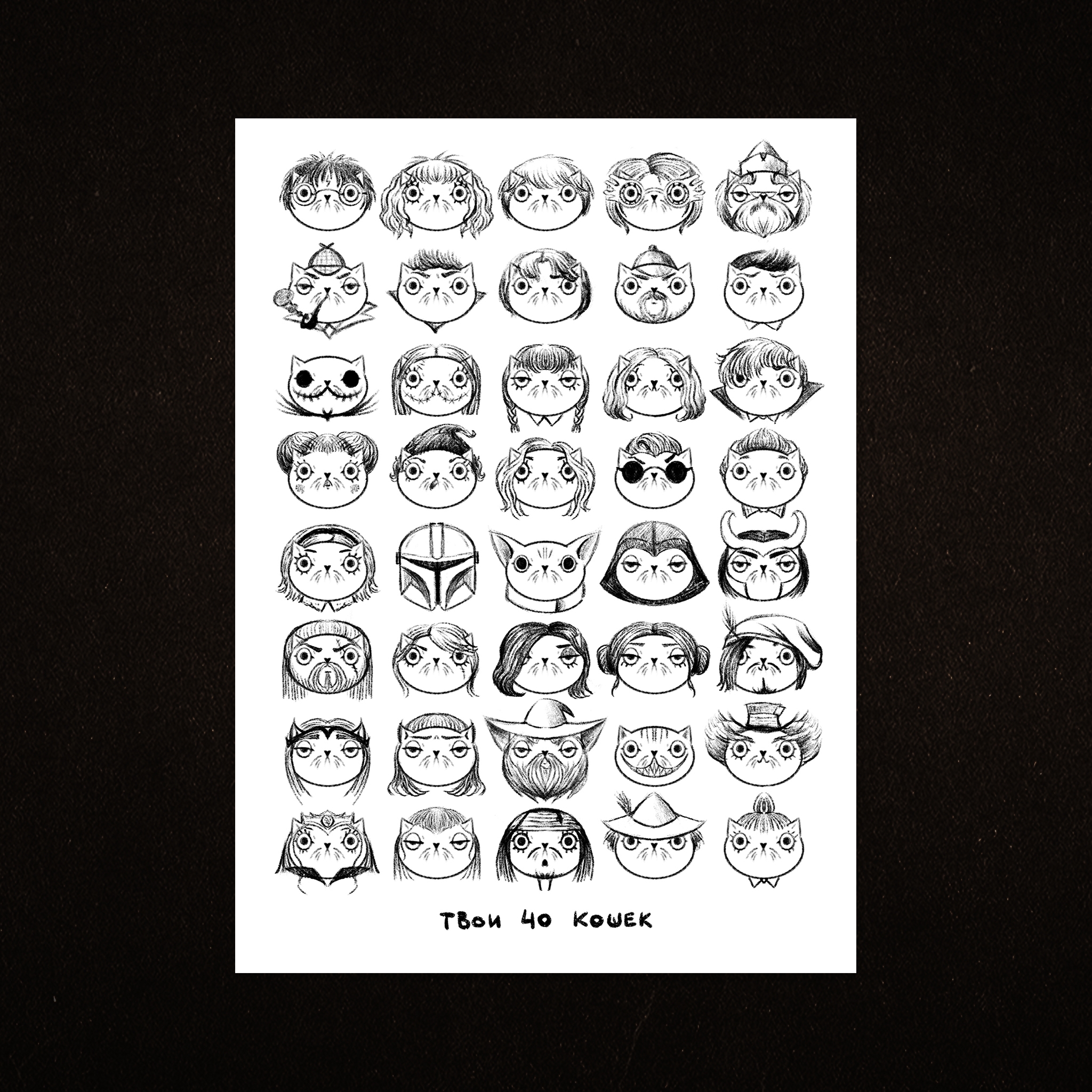 отк. 40 кошек