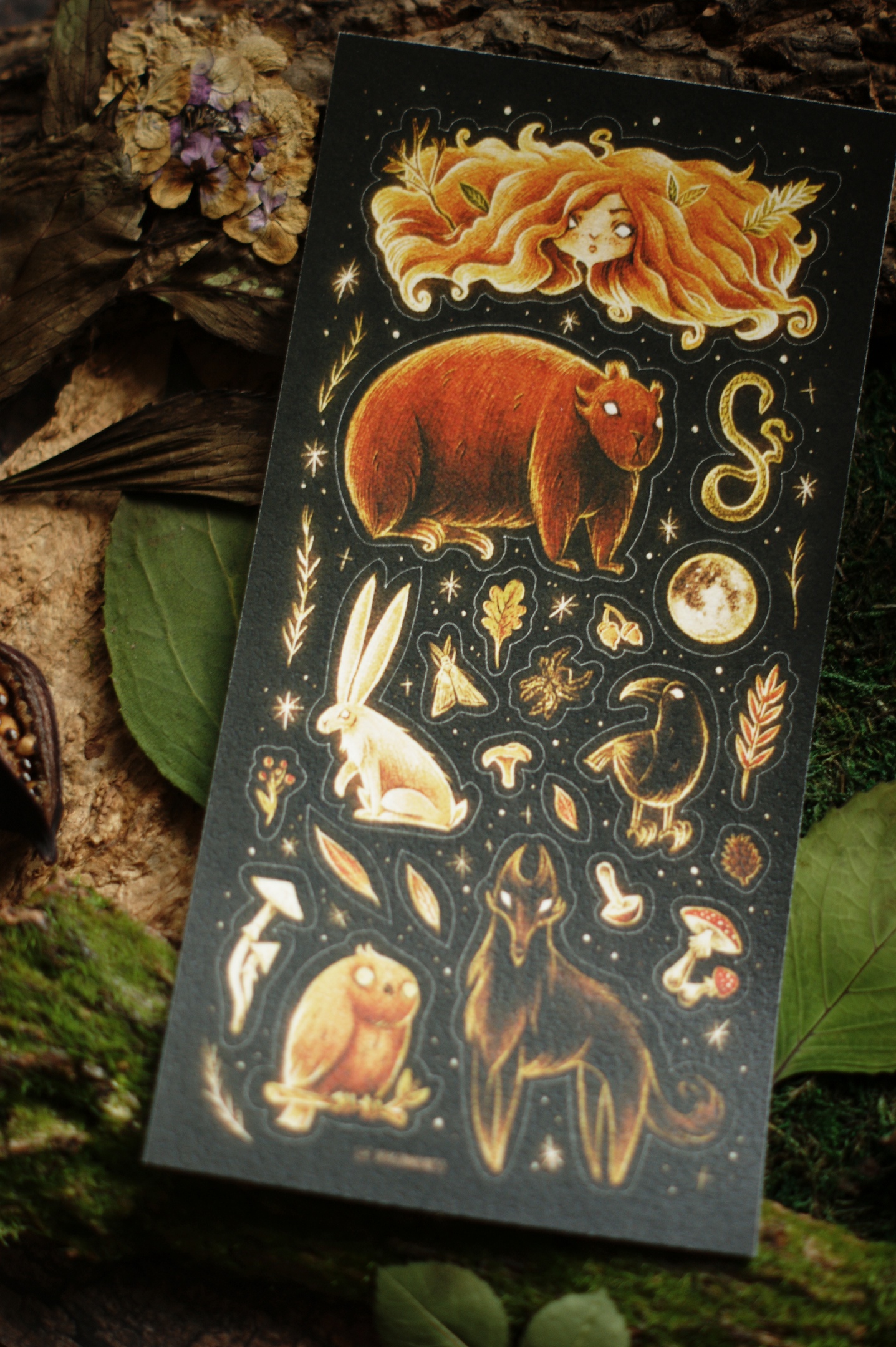 ст-к 20x10 Лесной