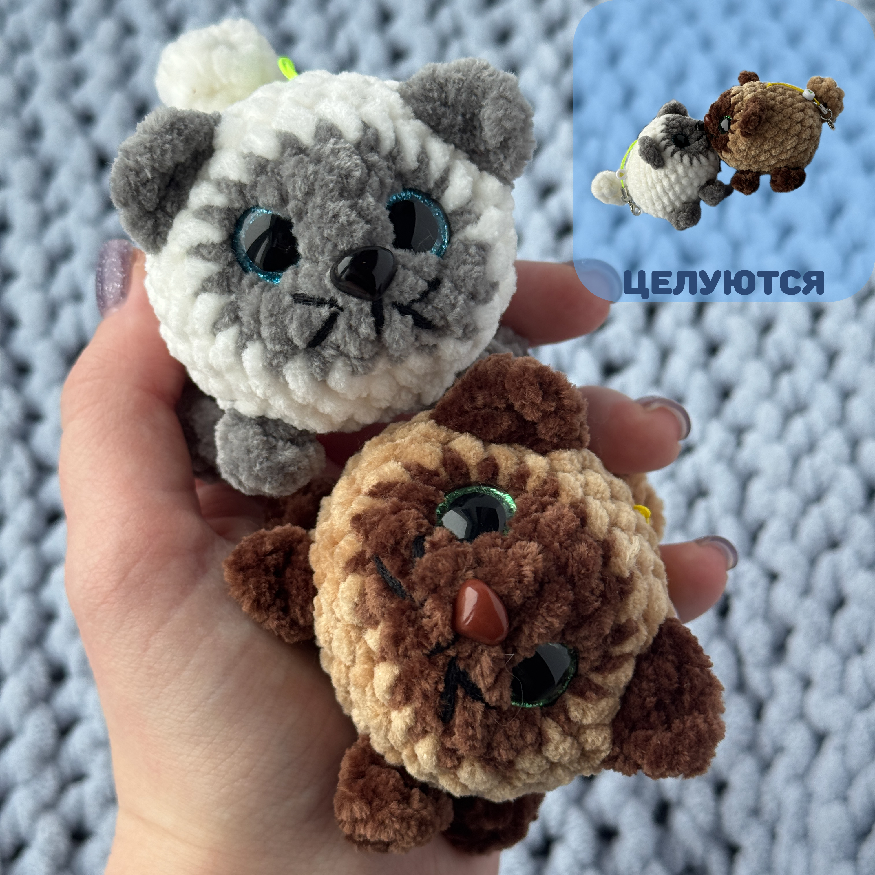 Парные котики