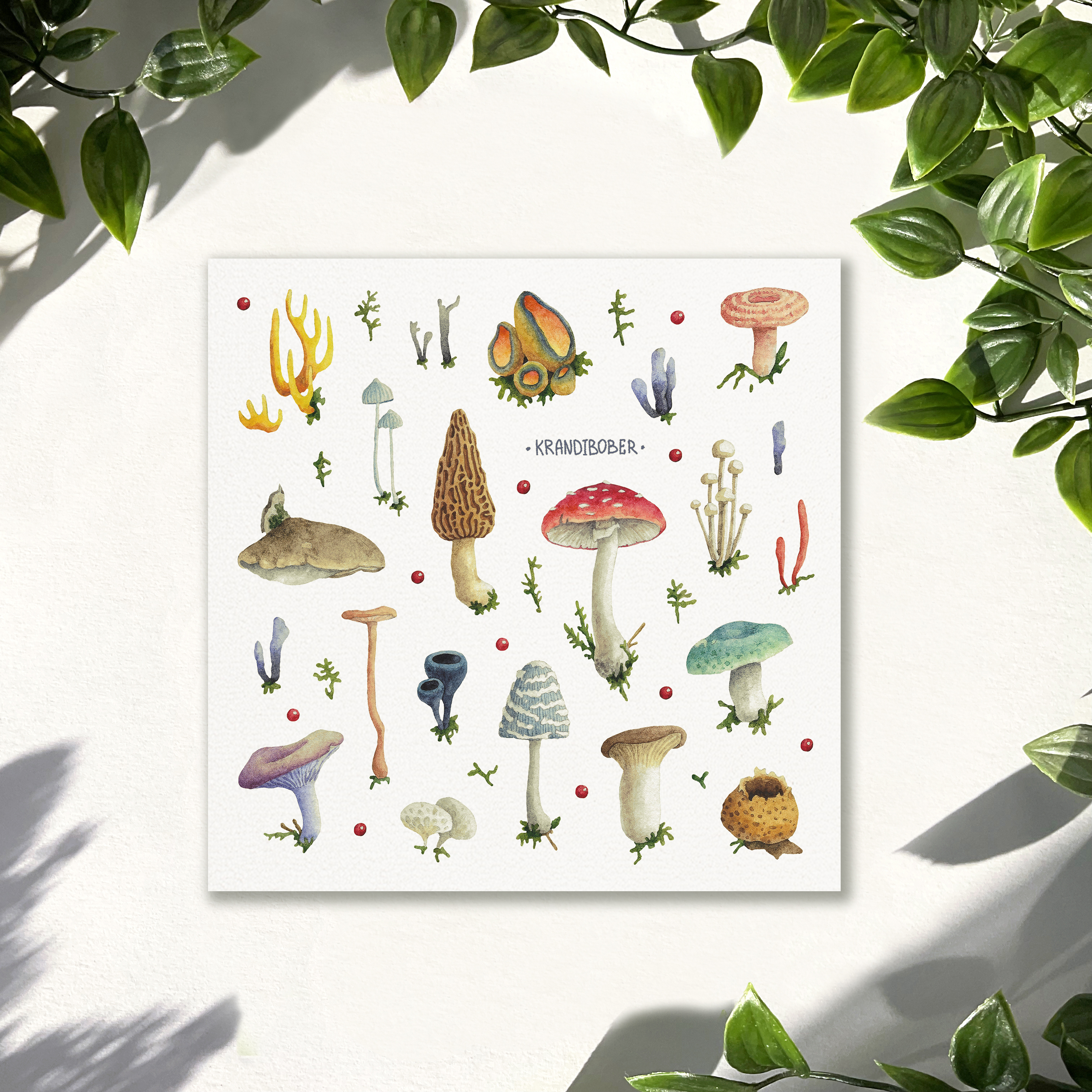 Стикерпак 15х15 «Грибы, мухомор»