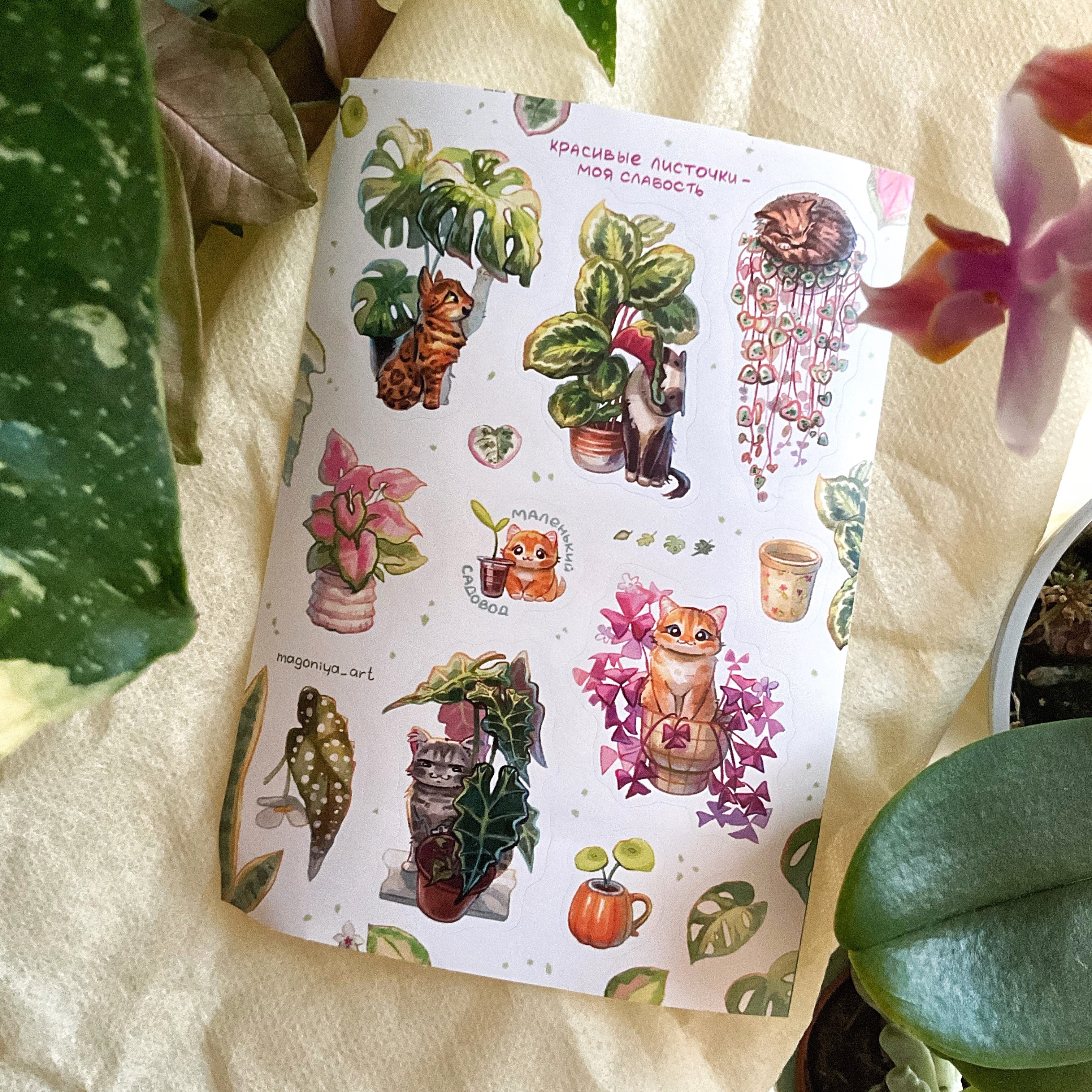 Стикерпак "Листочки и котики"