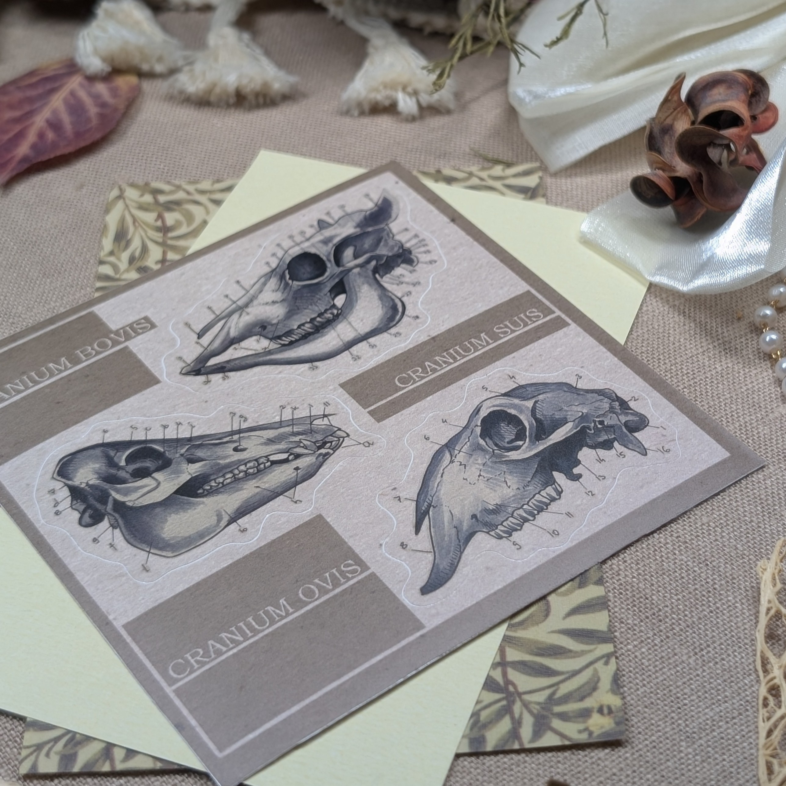 Стикерпак "Черепа"