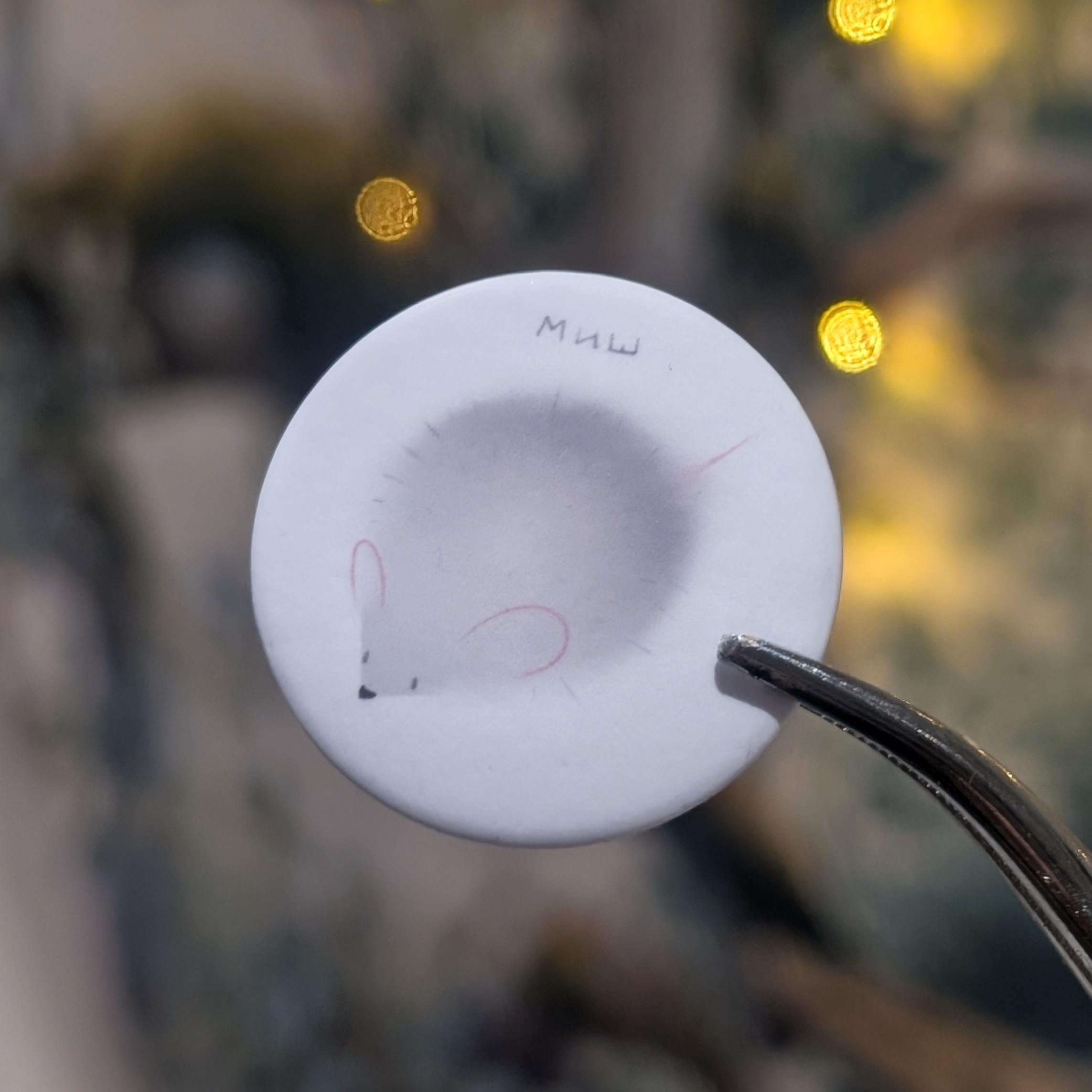 Значок "Миш"