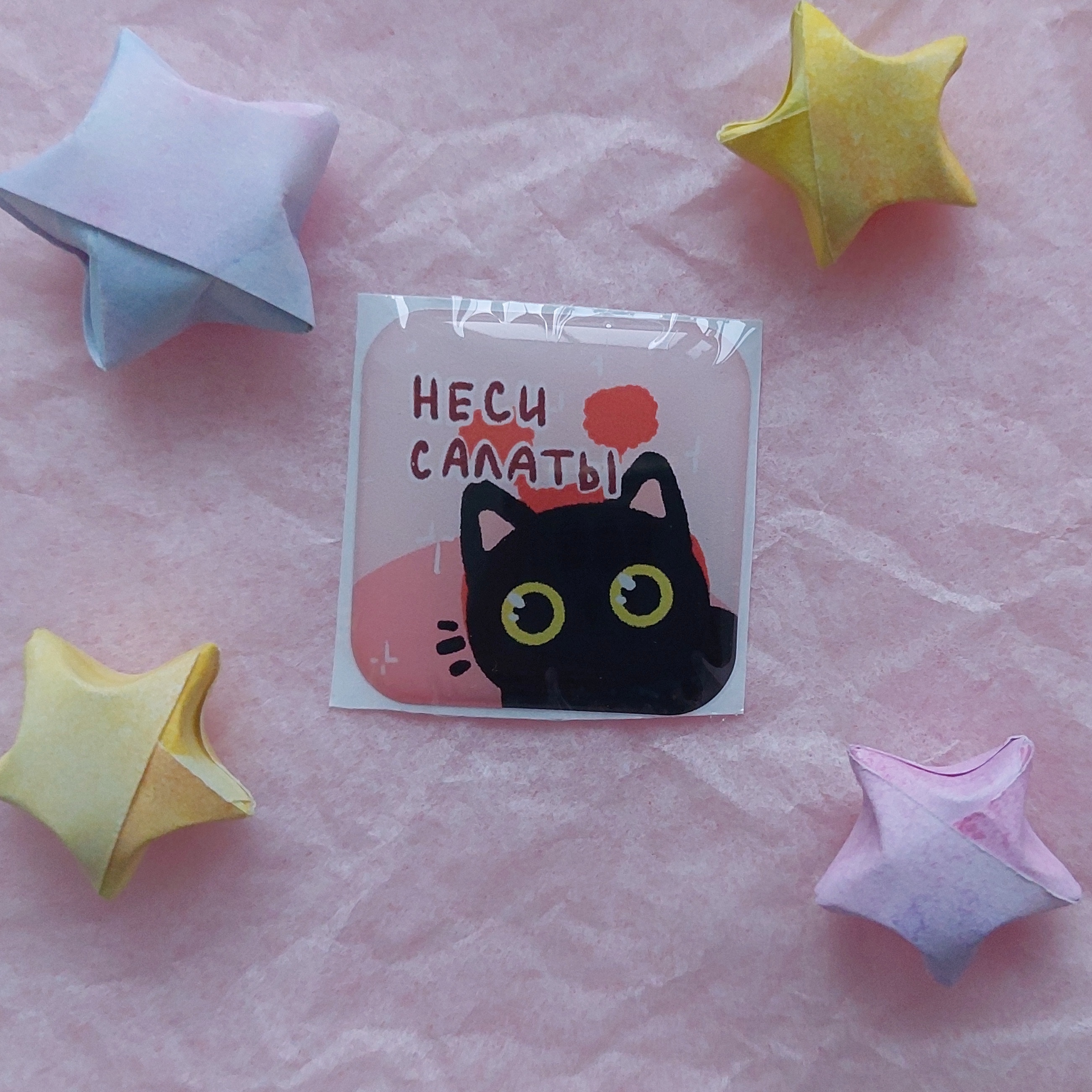 д-стикер кот салаты
