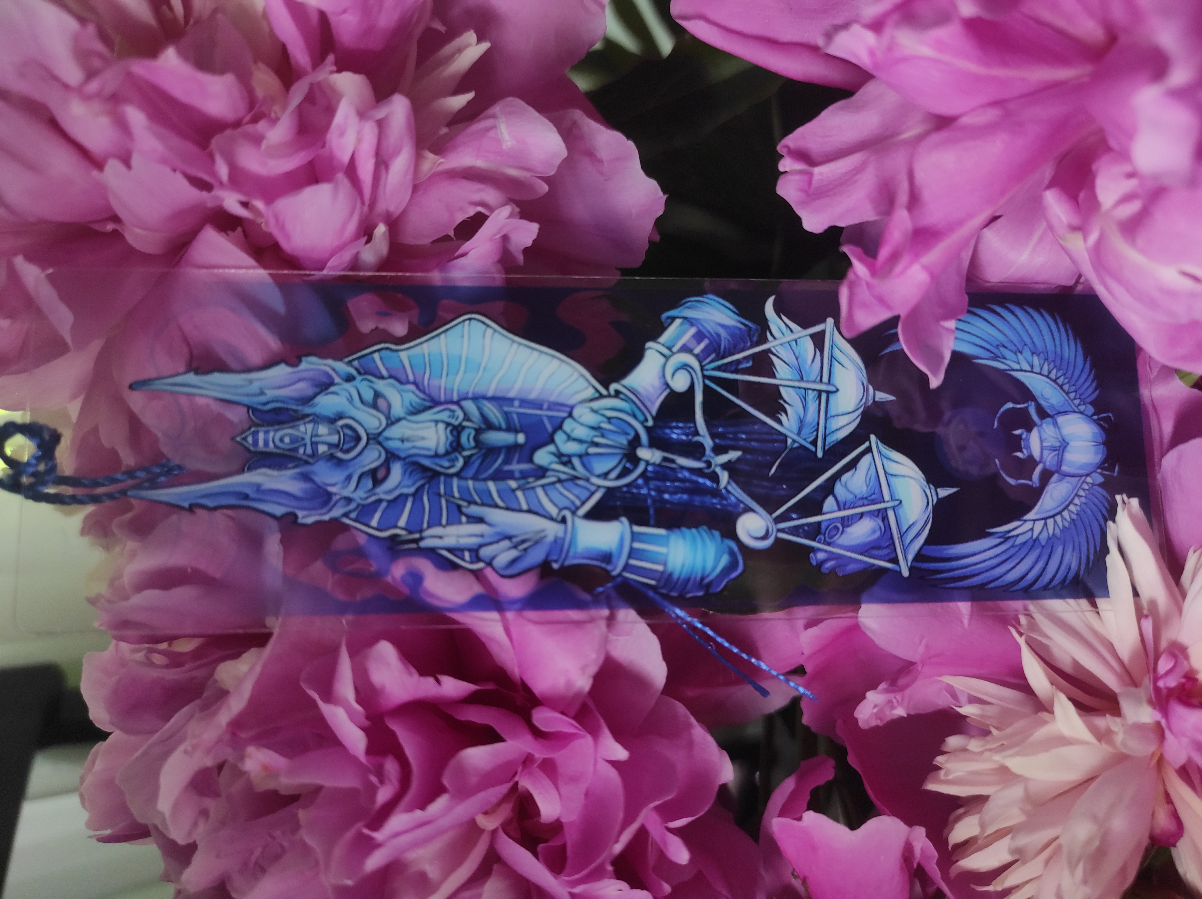 Закладка Анубис