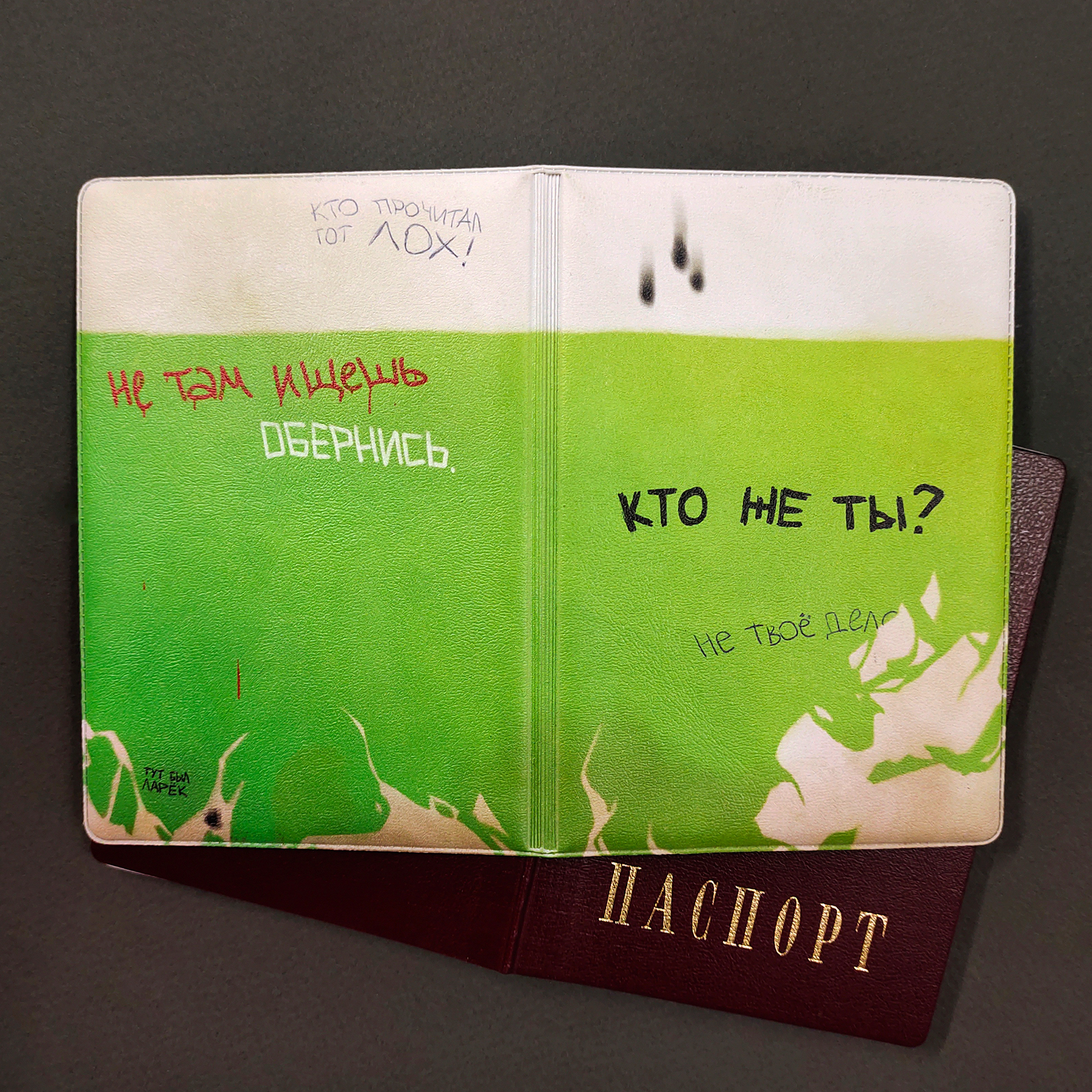 Обложка на паспорт Падик