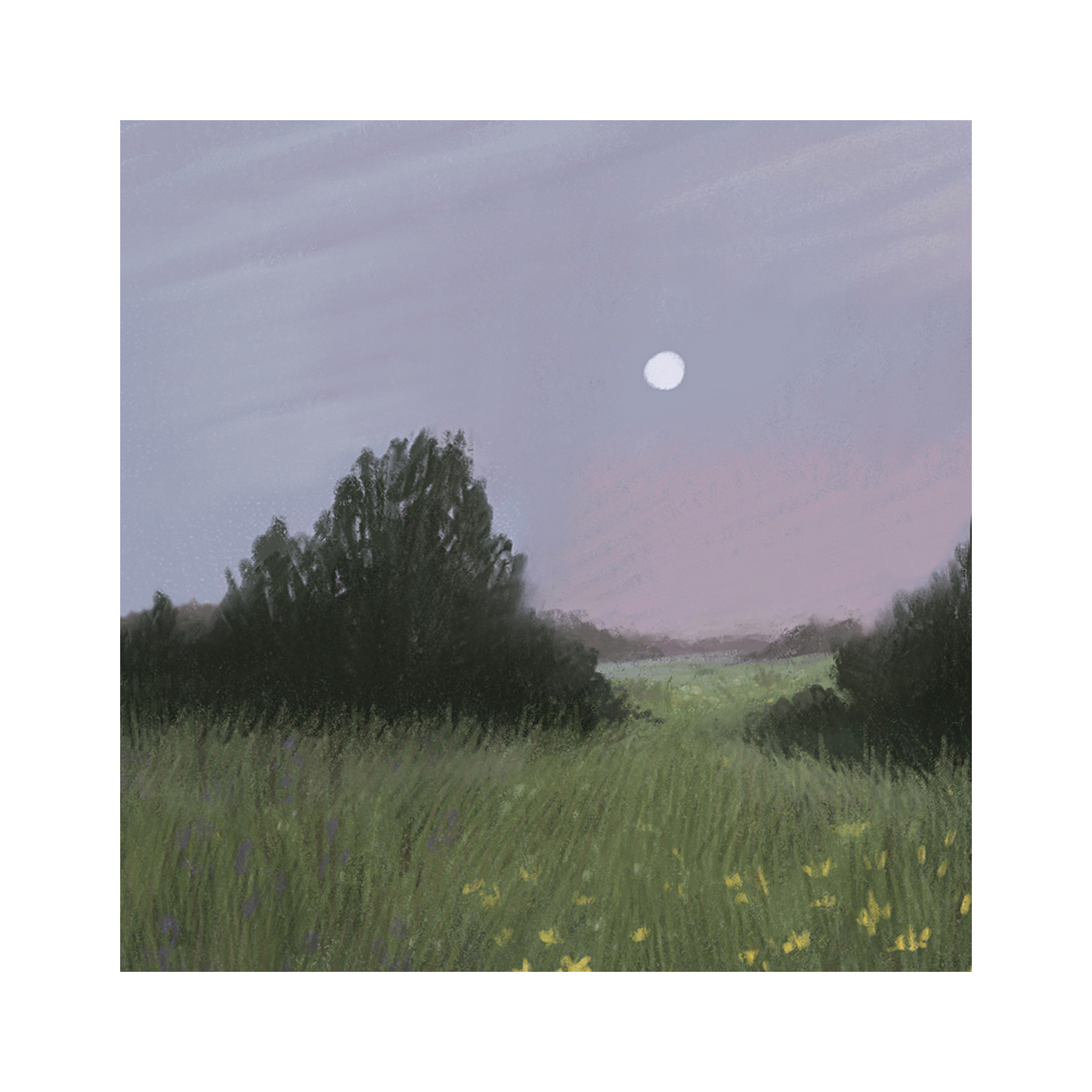 Открытка Опушка 10х10