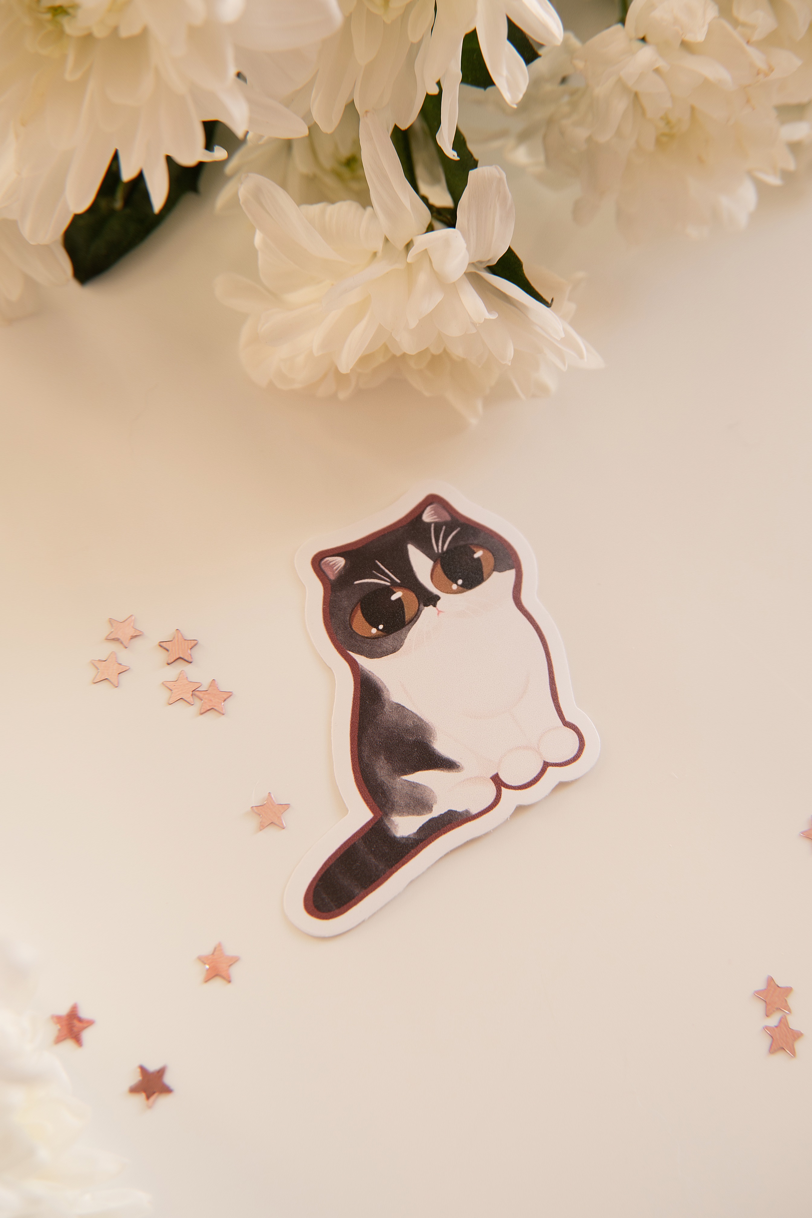 Стикер "Киса"