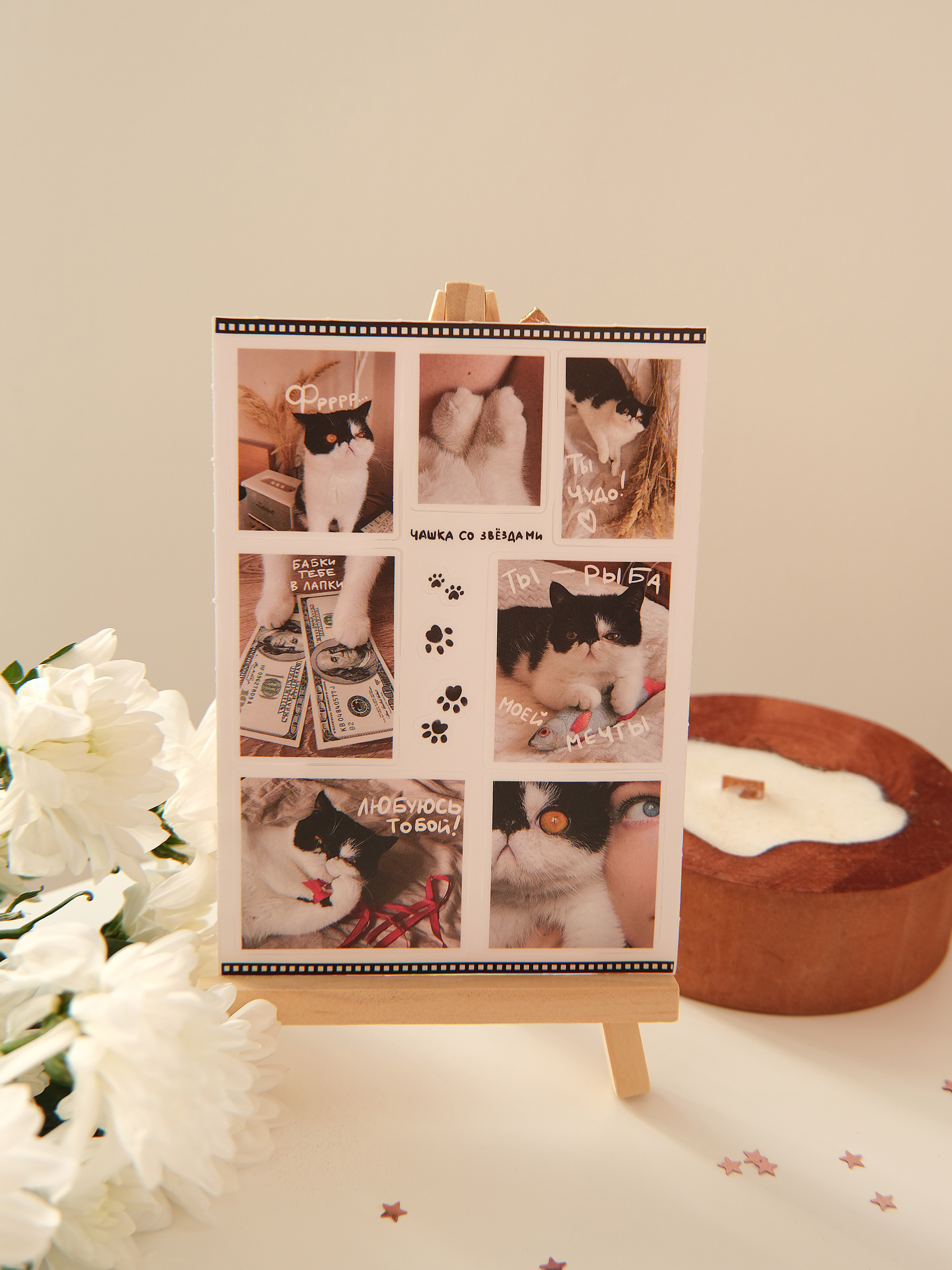 Стикерпак А6 "Ты чудо!"