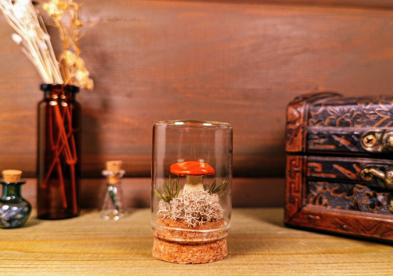 Интерьерная композиция "Белый гриб"