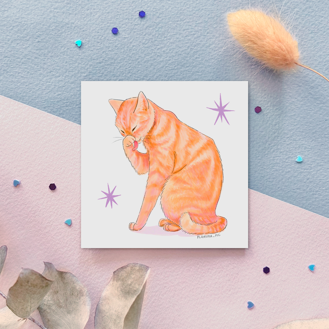 "Котик рыжий" соло стикер