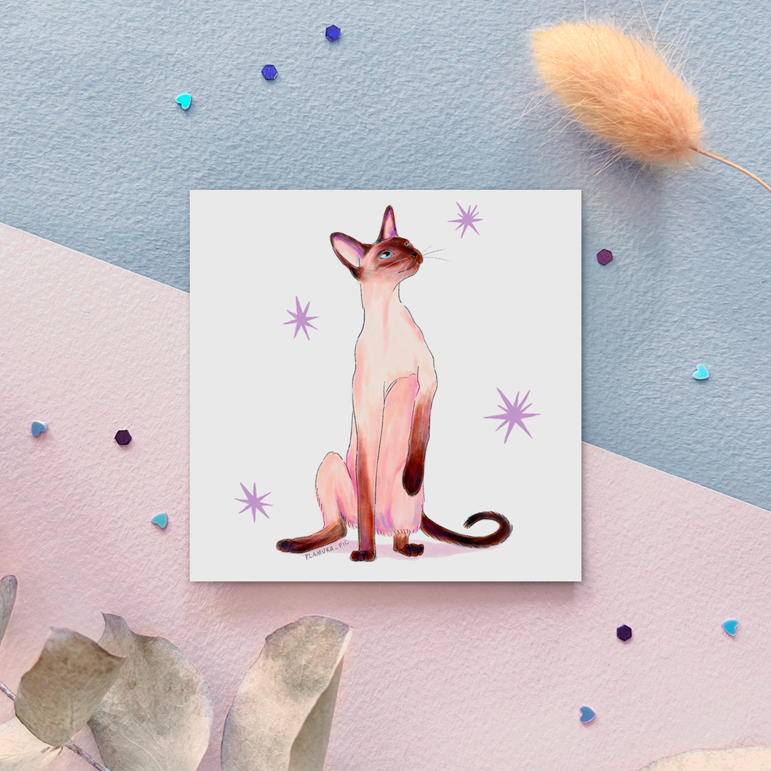 "Котик сиам" соло стикер