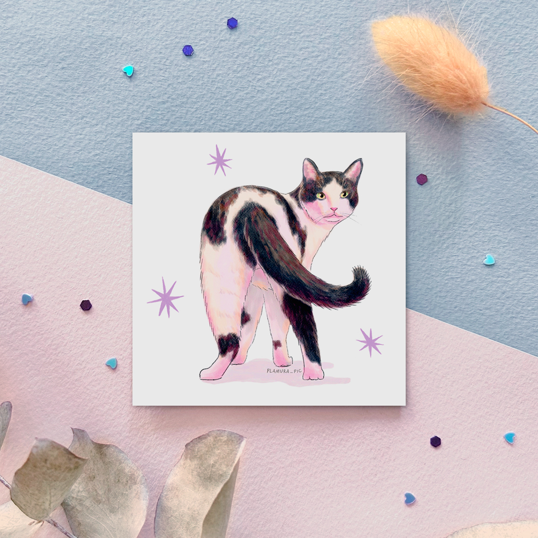 "Котик ч/б" соло стикер