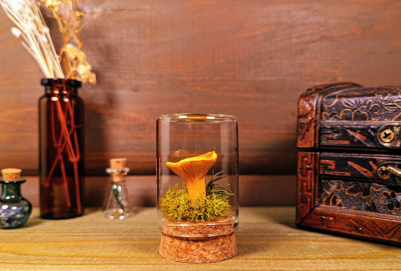 Интерьерная композиция "Лисичка"