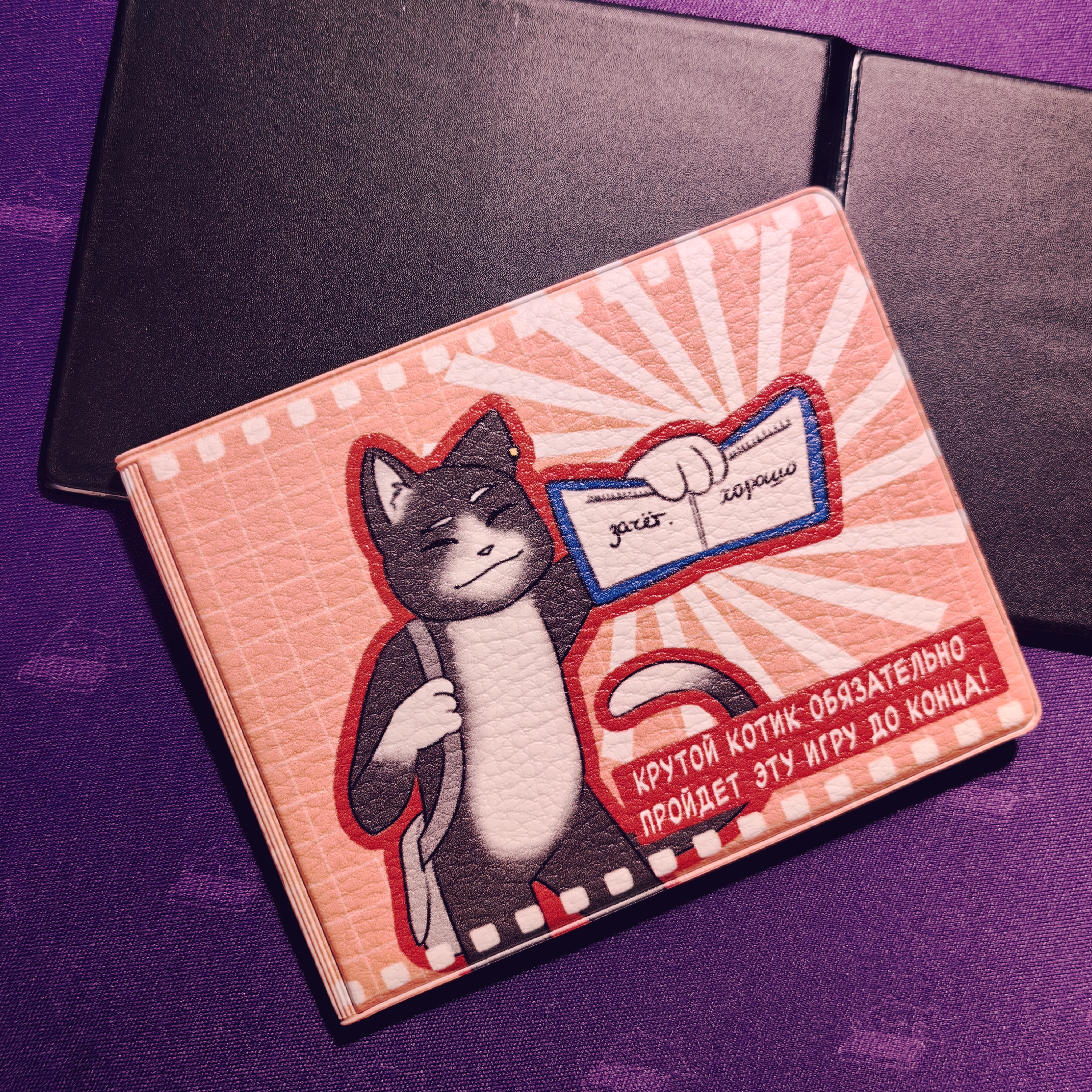 Обложка на студ.билет Крутой котик