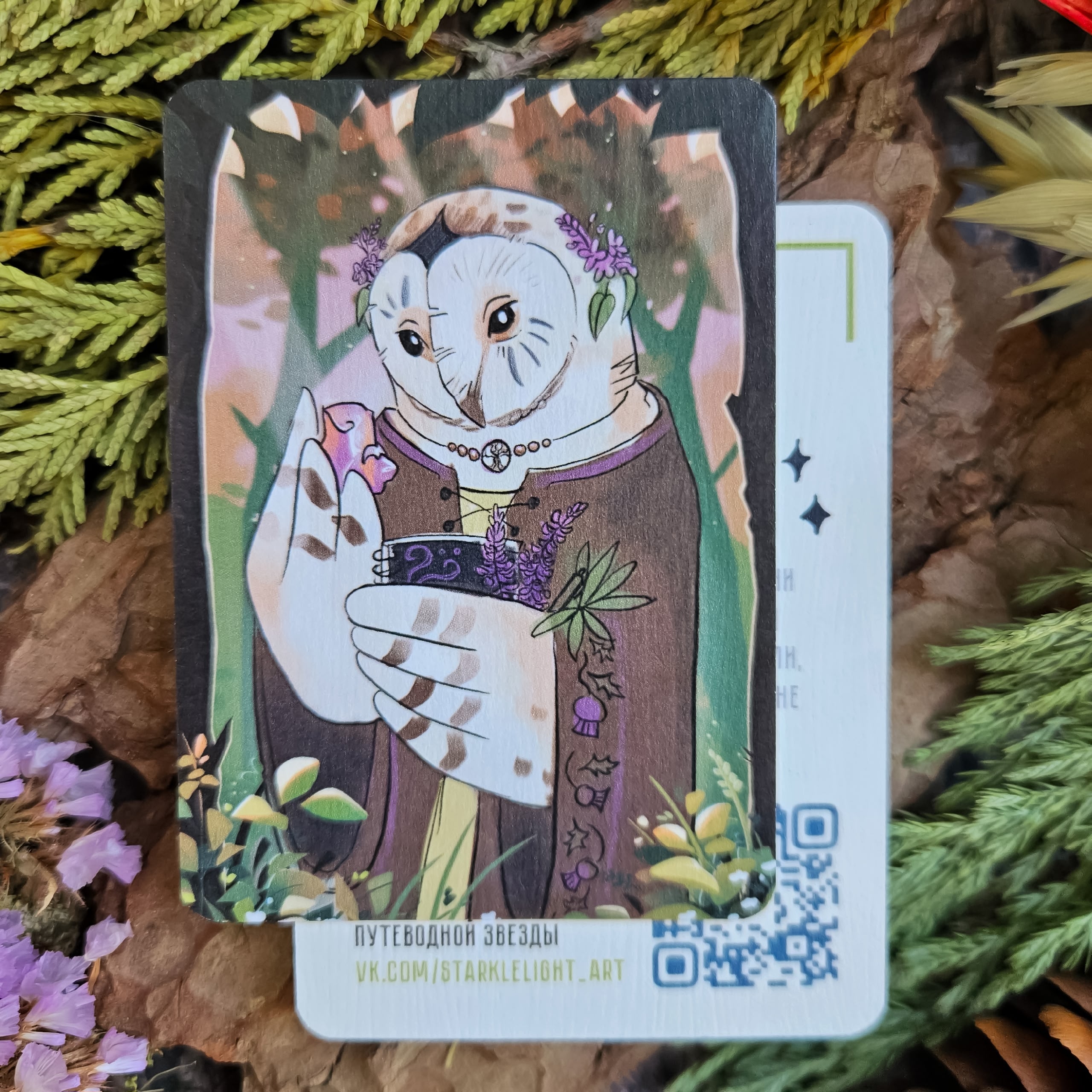 Карточка "Полярис"