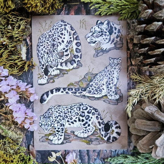 Стикер-пак А6 "Ирбисы"