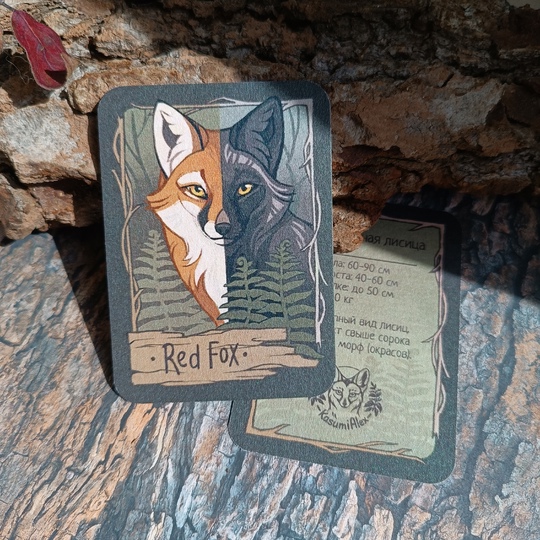 Карточка "Обыкновенная лисица"