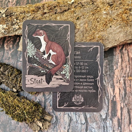 Карточка "Горностай"