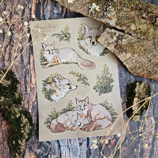 Стикерпак А6 "Корсаки"