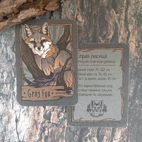 Карточка "Серая лисица"