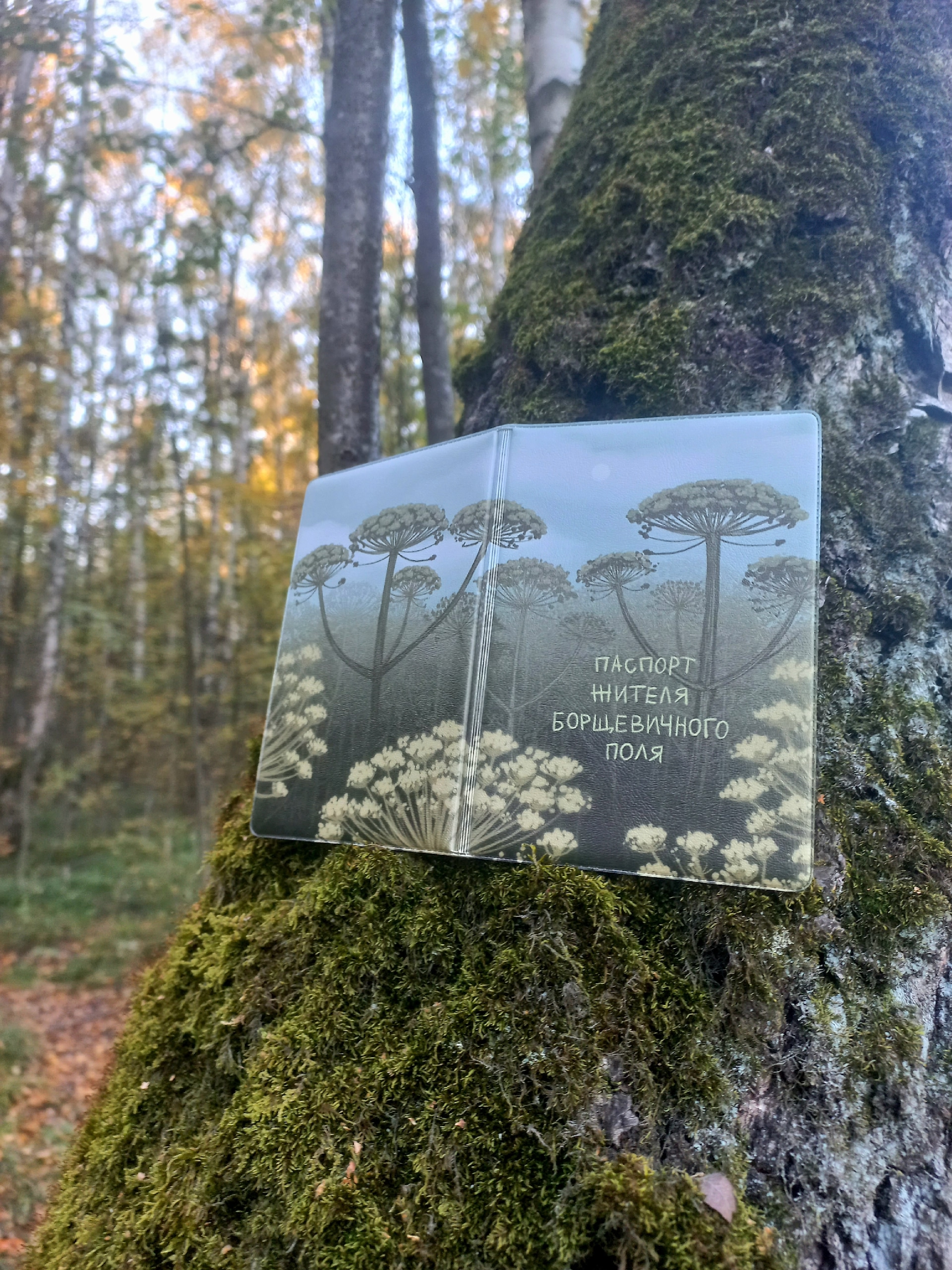 обложка на паспорт "житель борщ. поля"