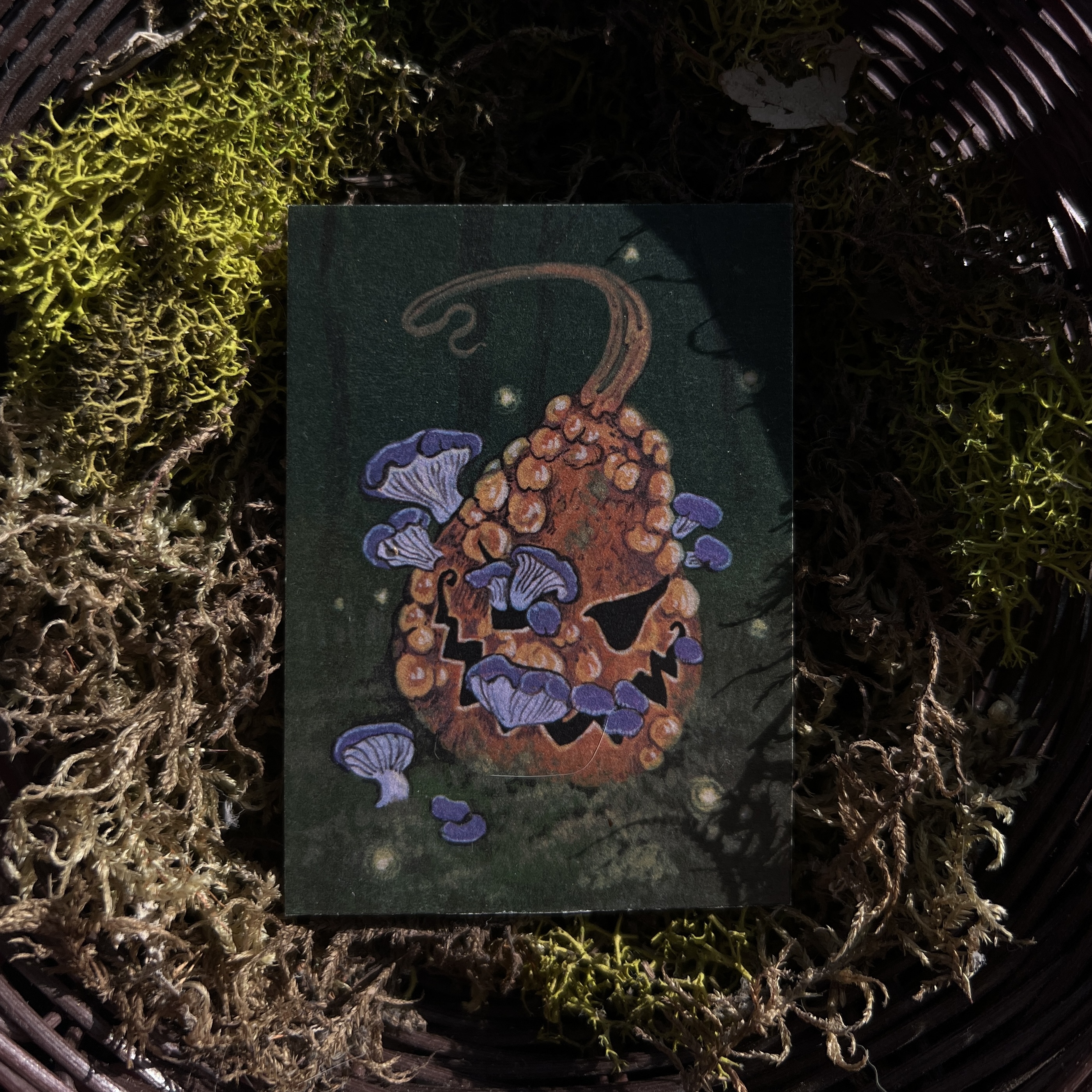 Коллекционная карточка Тыква