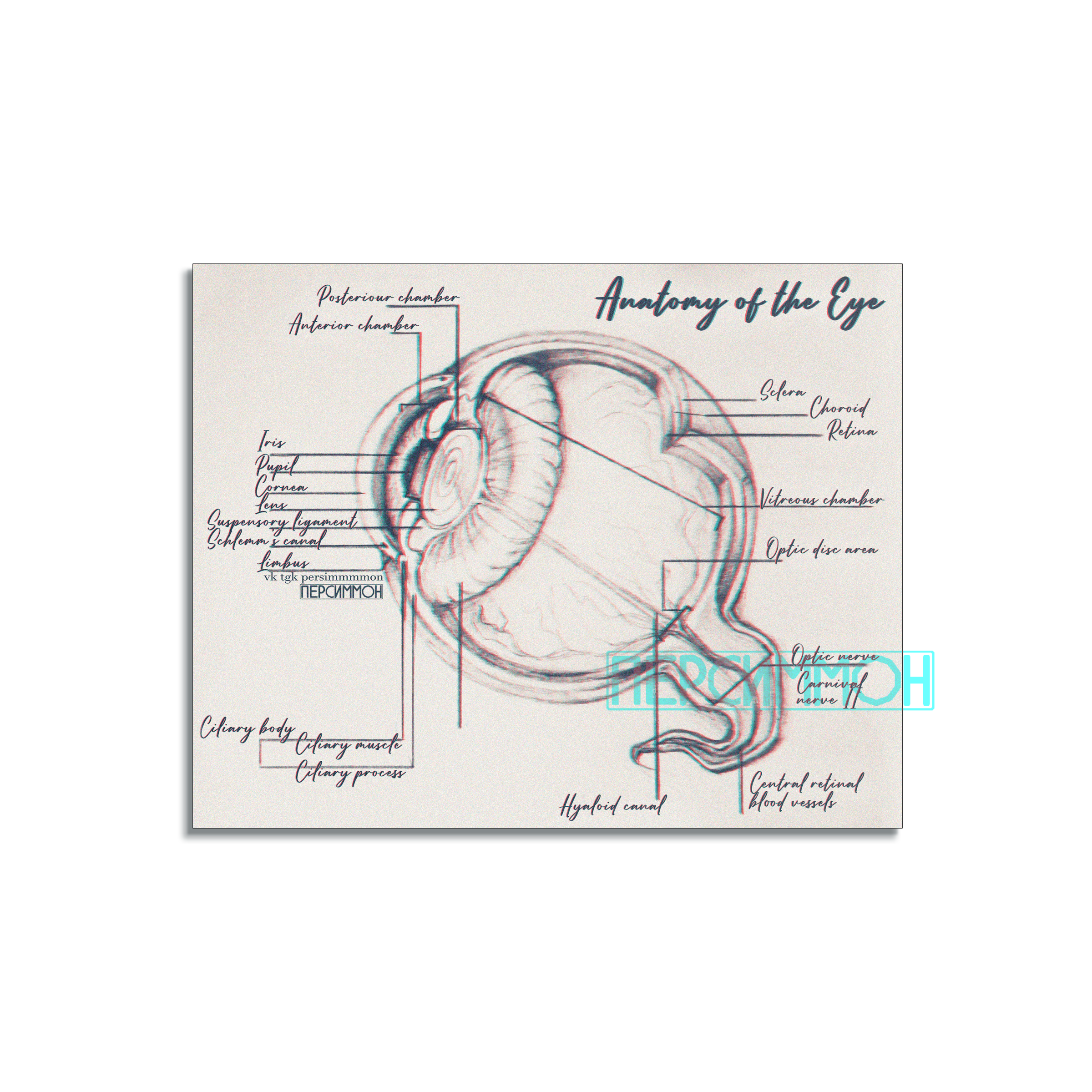 Открытка Глаз