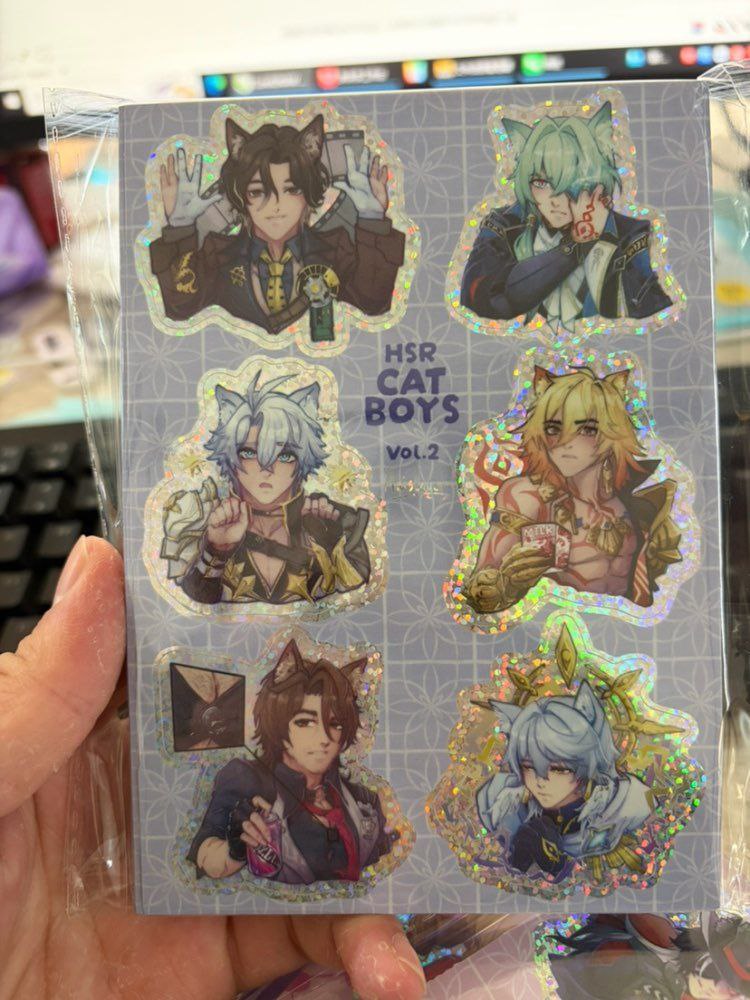Наклейки винил А6 "HSR Catboys V2"