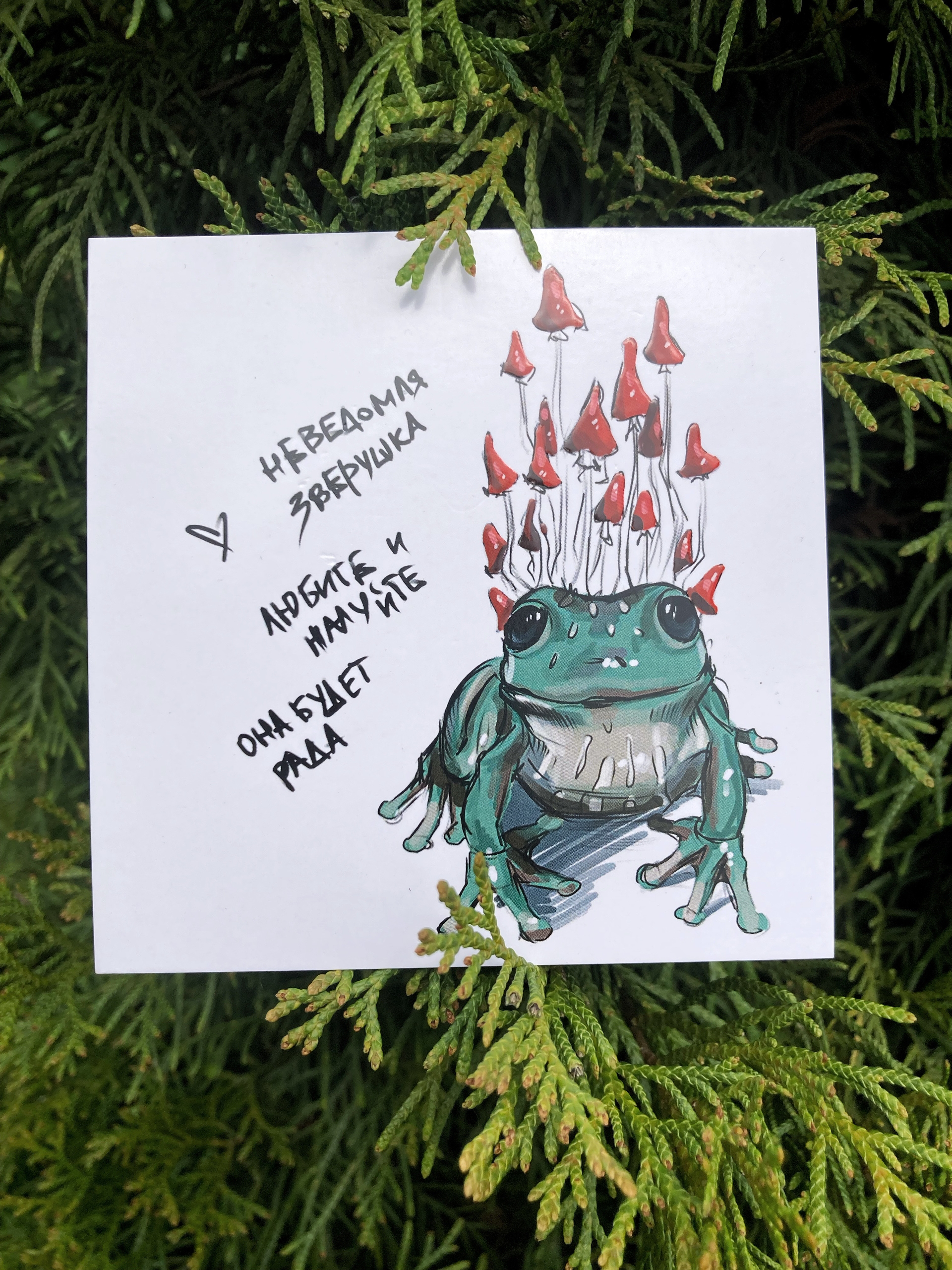 Принт Лягушка + лак