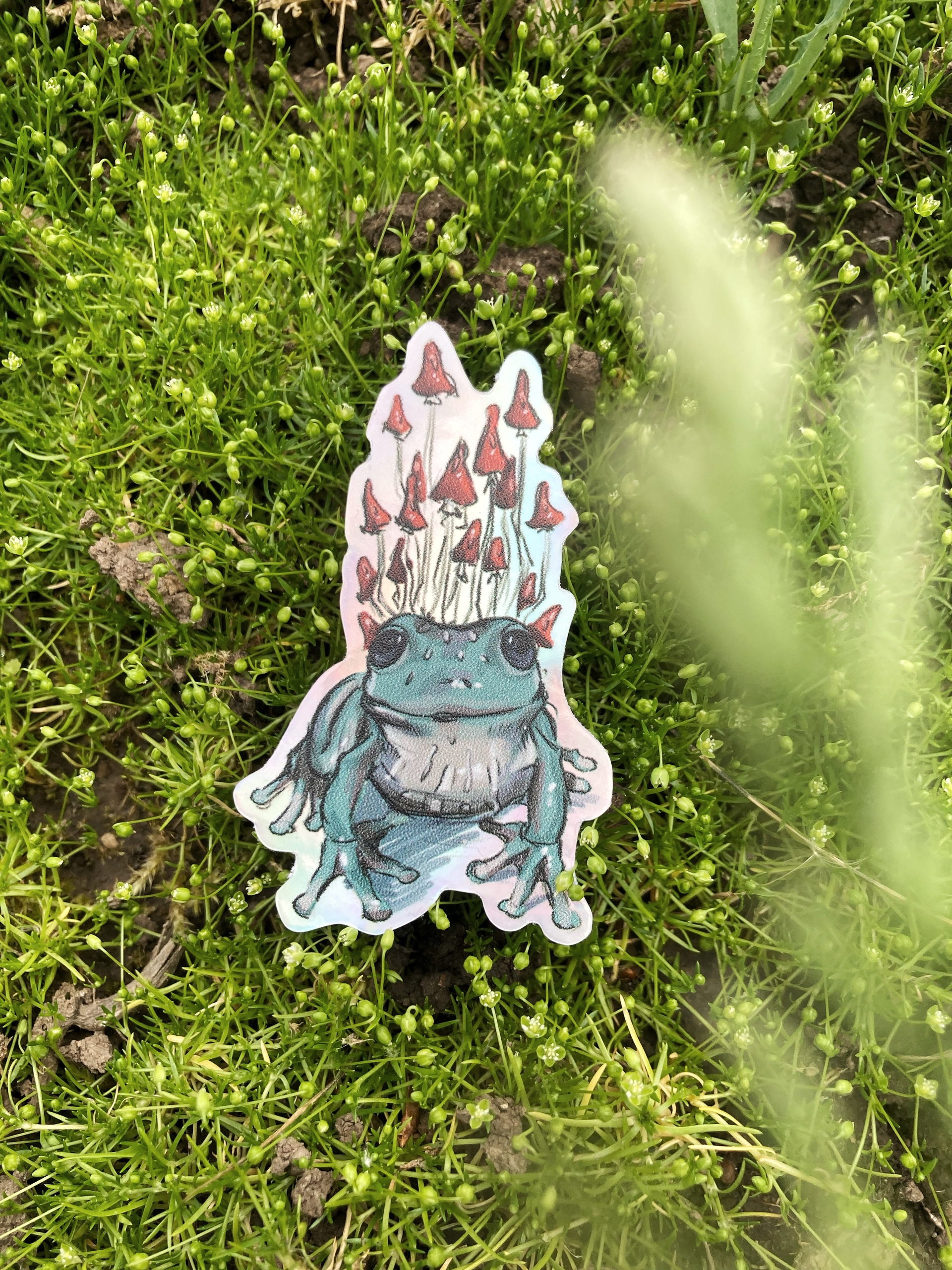 Голо-стикер Лягушка