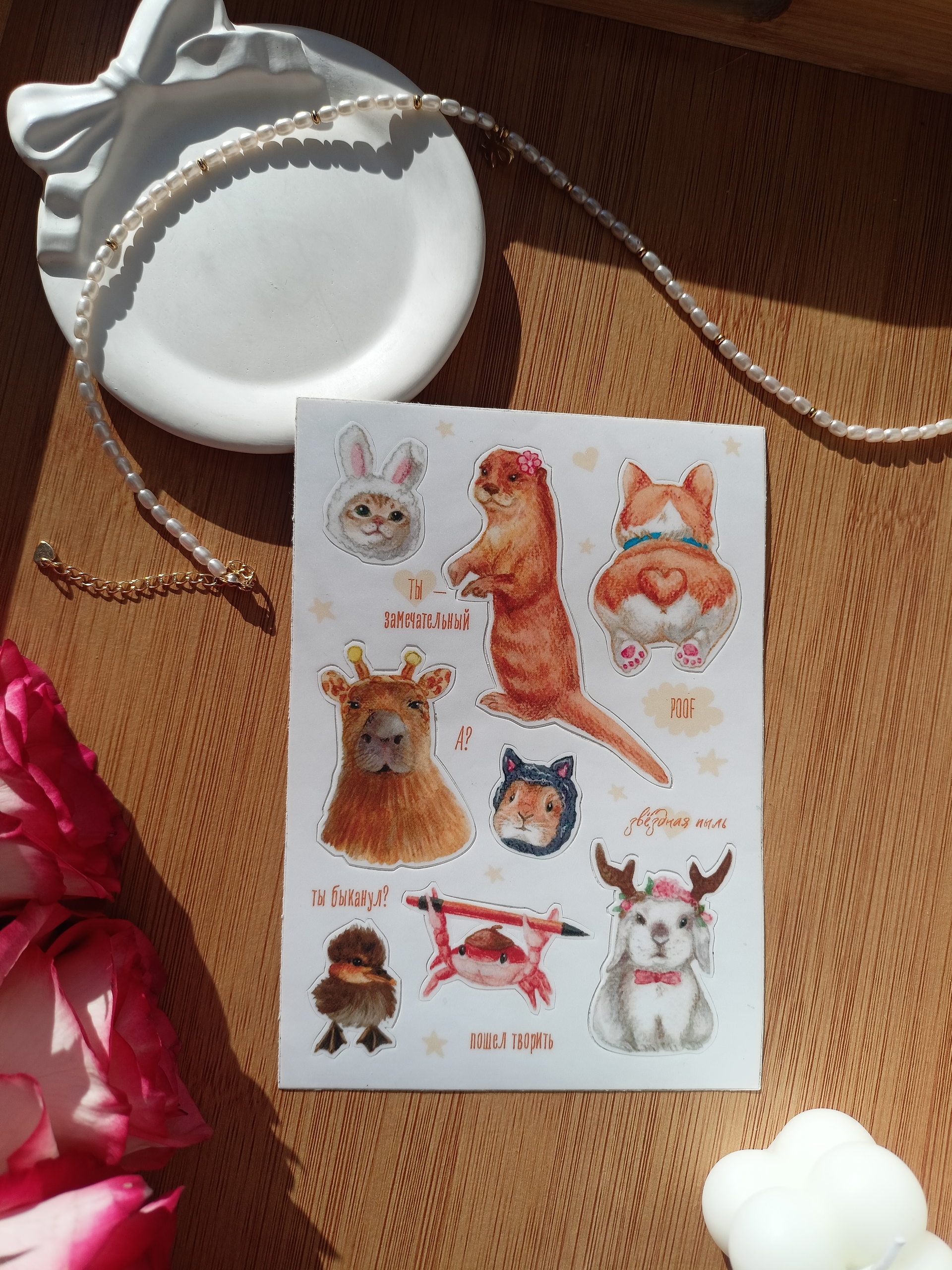 Стикерпак А6 Животные мемы