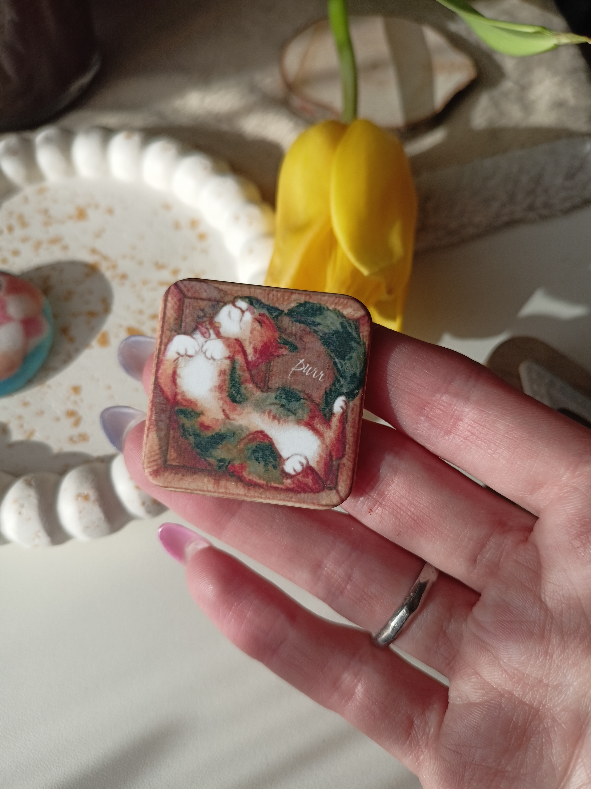 Значок кот в коробке