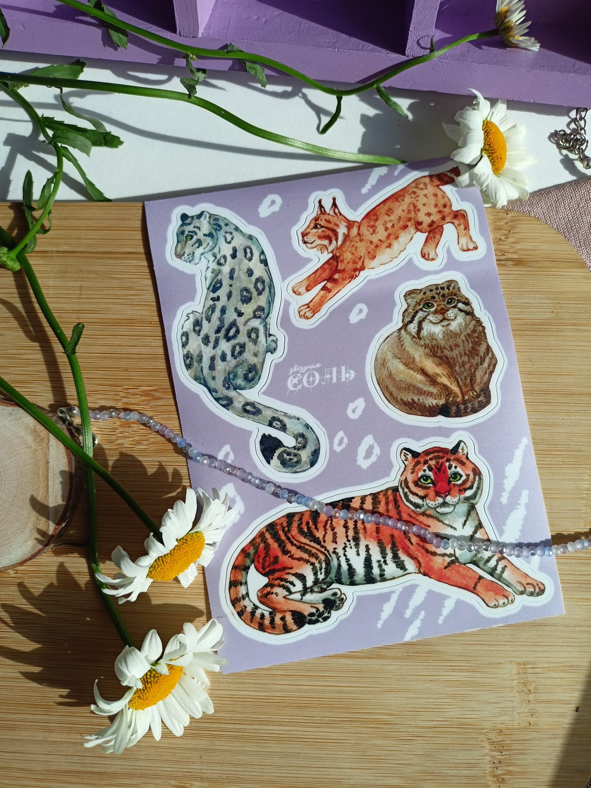 Стикерпак А6 большие коты