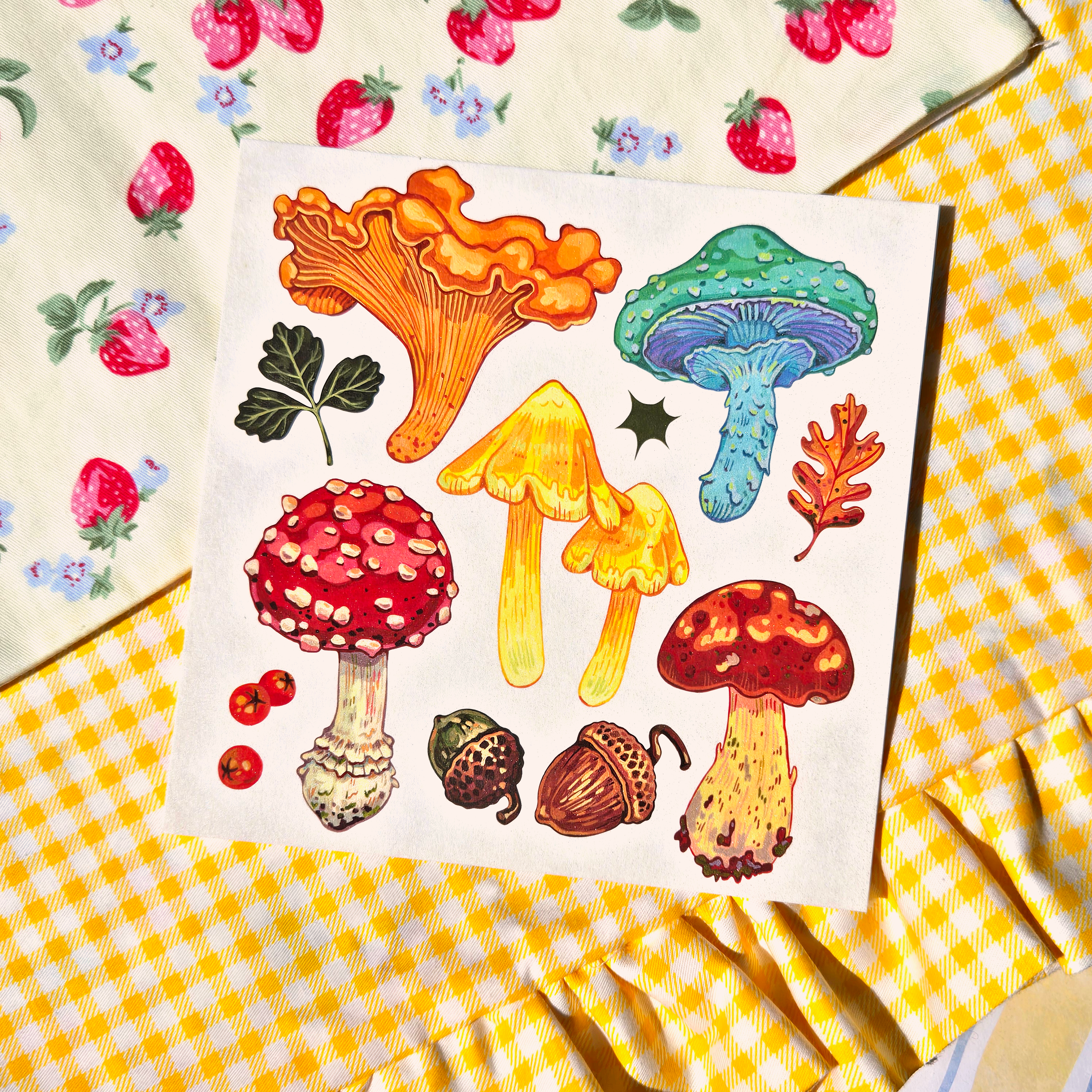 Открытка Грибы ассорти