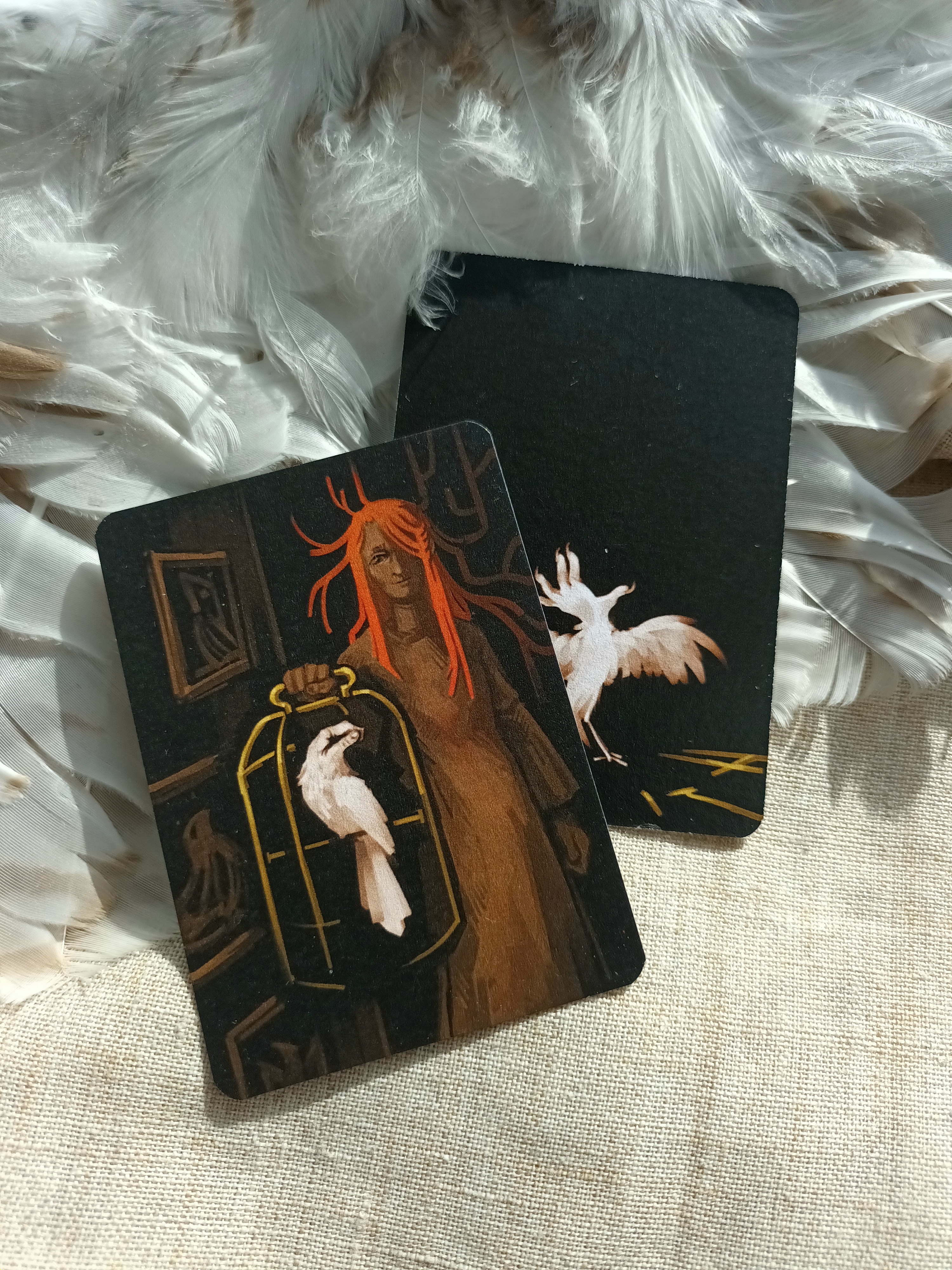 Карточка Держи птицу