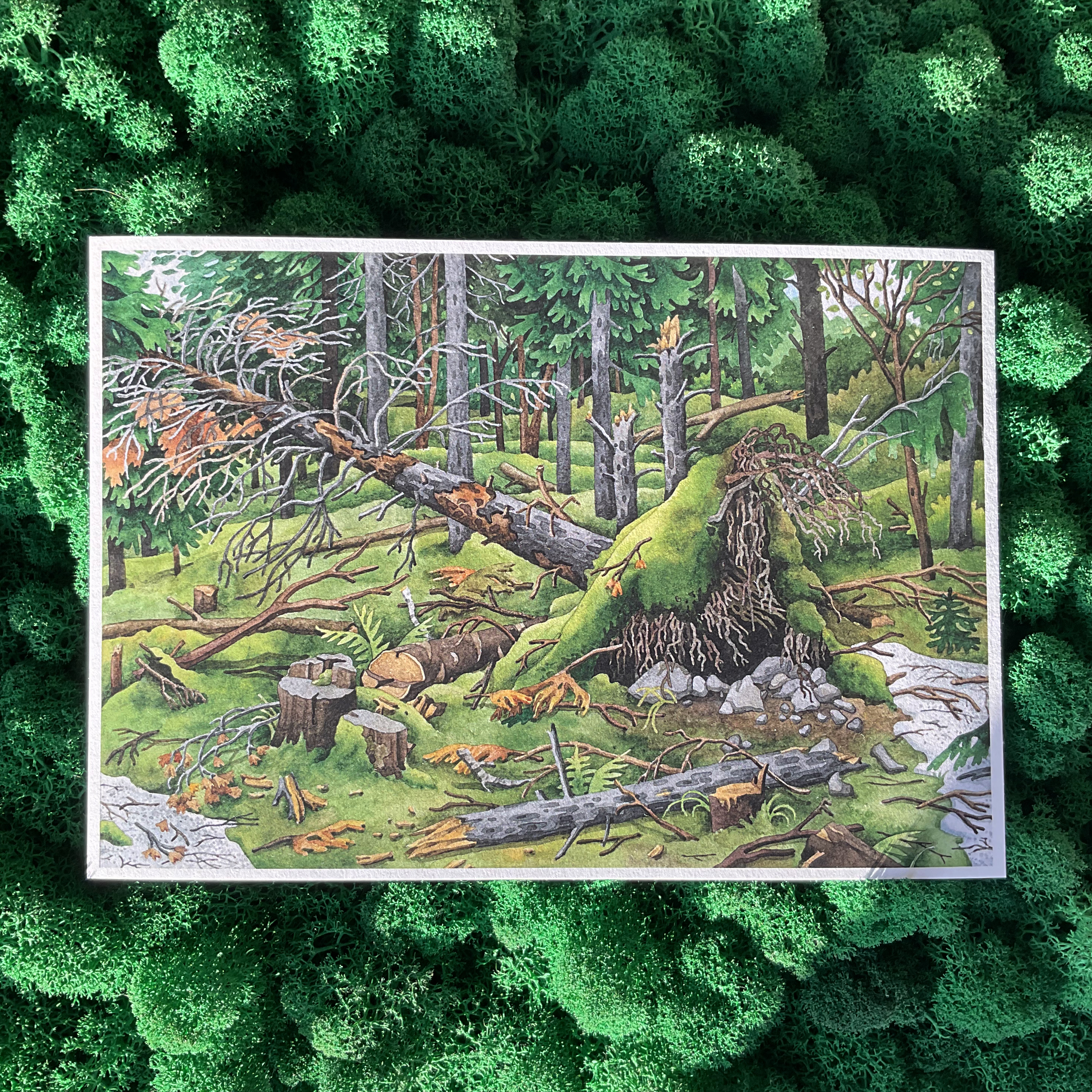 Постер А5 «Бурелом»