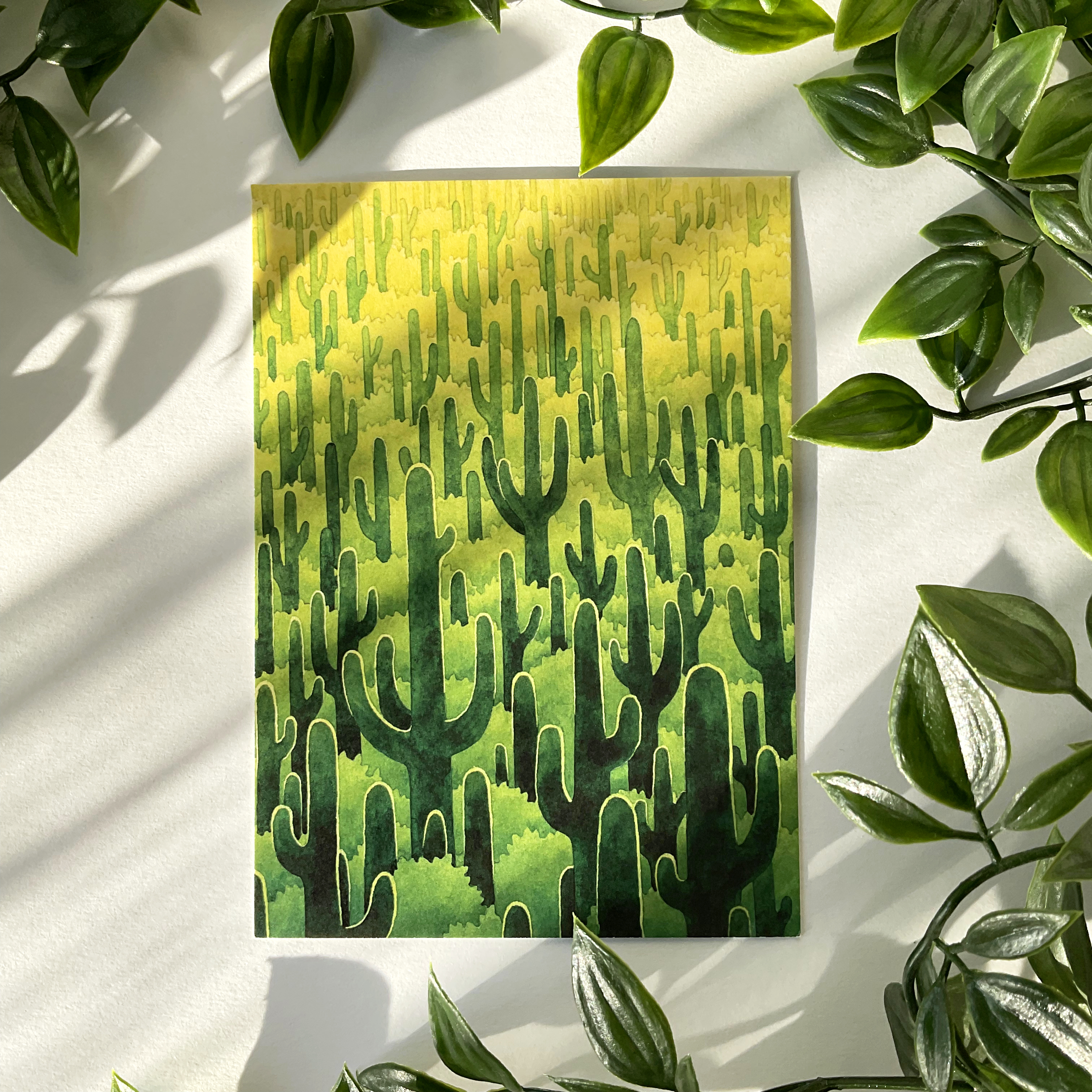 Открытка «Кактусы»