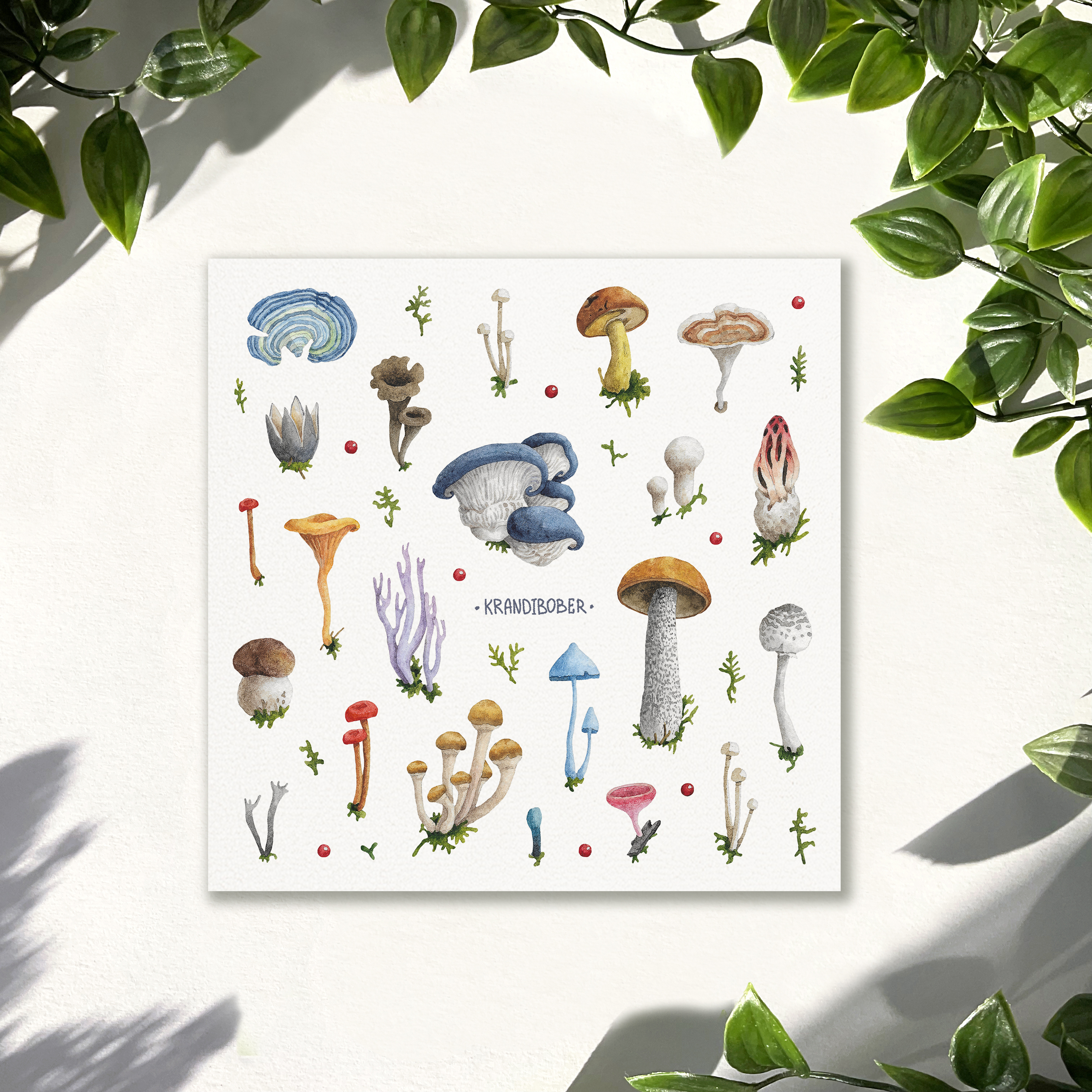 Стикерпак 15х15 «Грибы, вешенка»