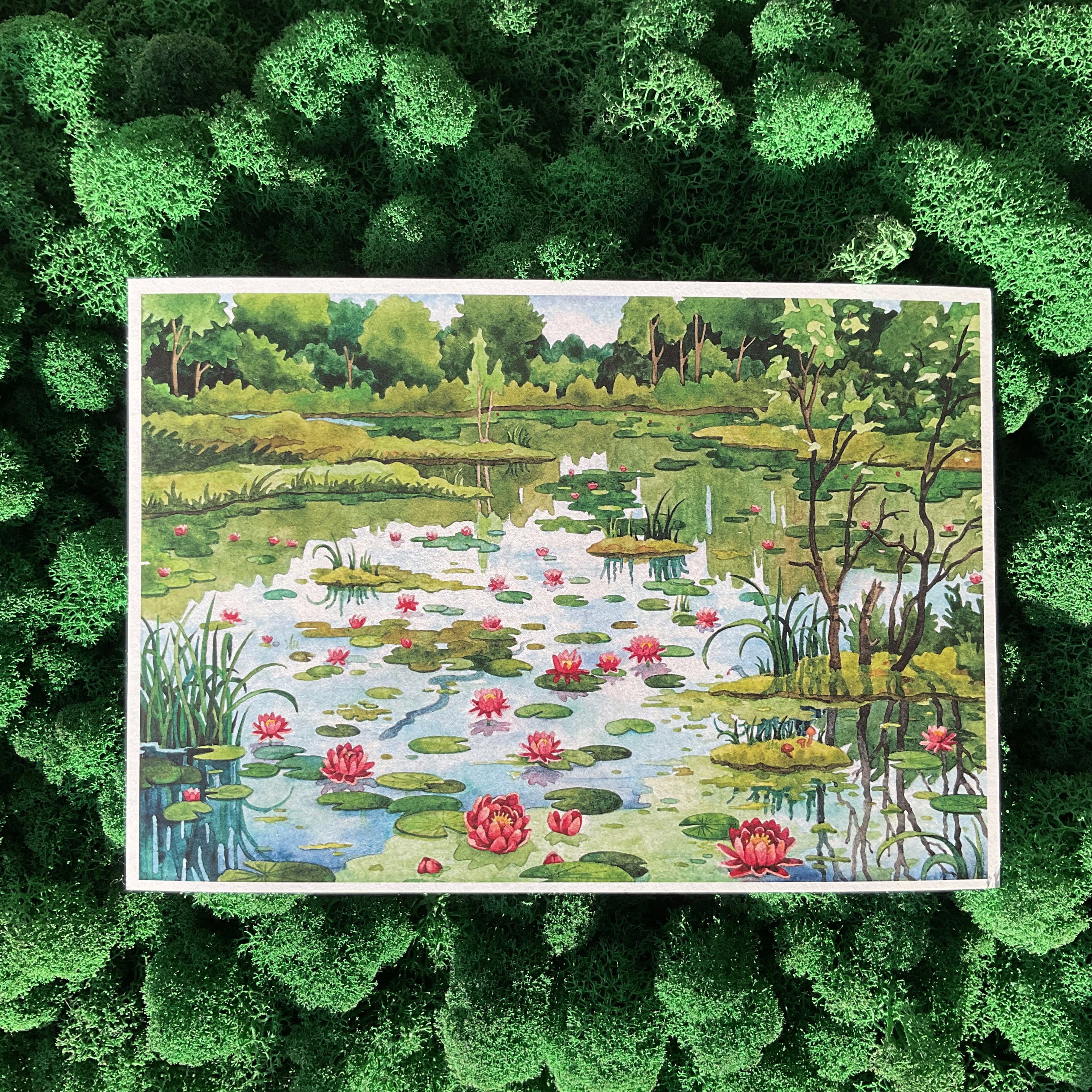 Постер А5 «Болото»