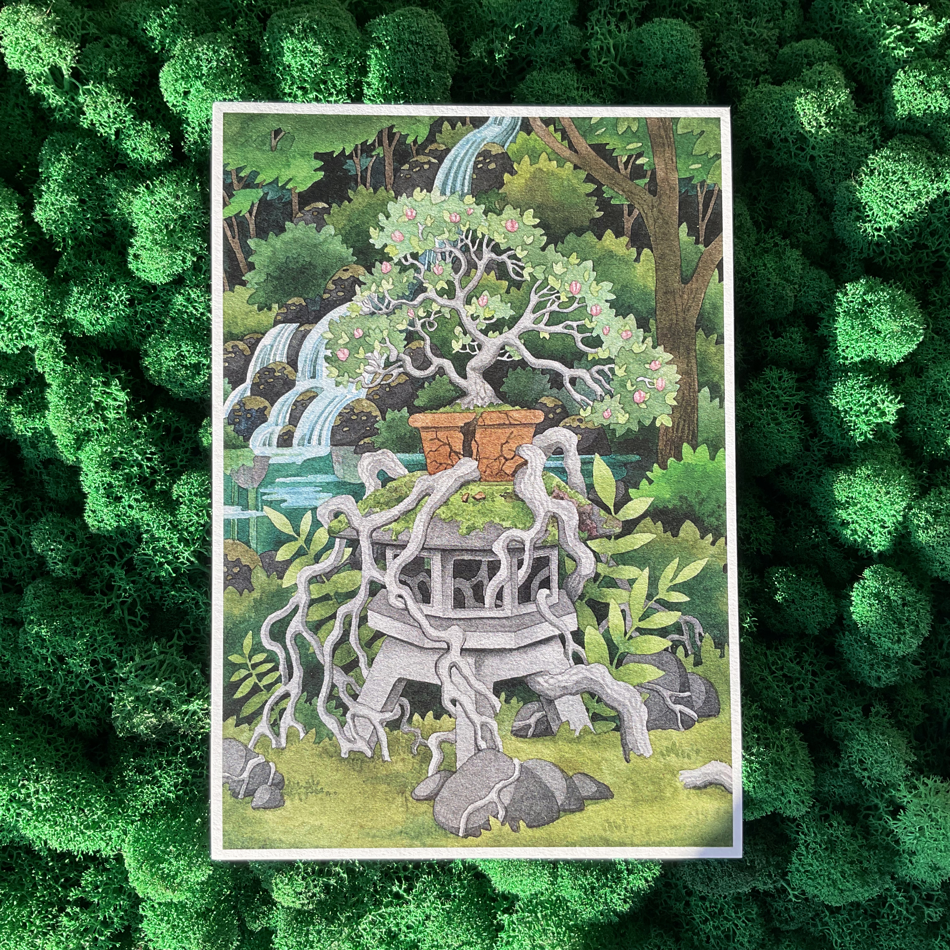 Постер А5 «Бонсай»